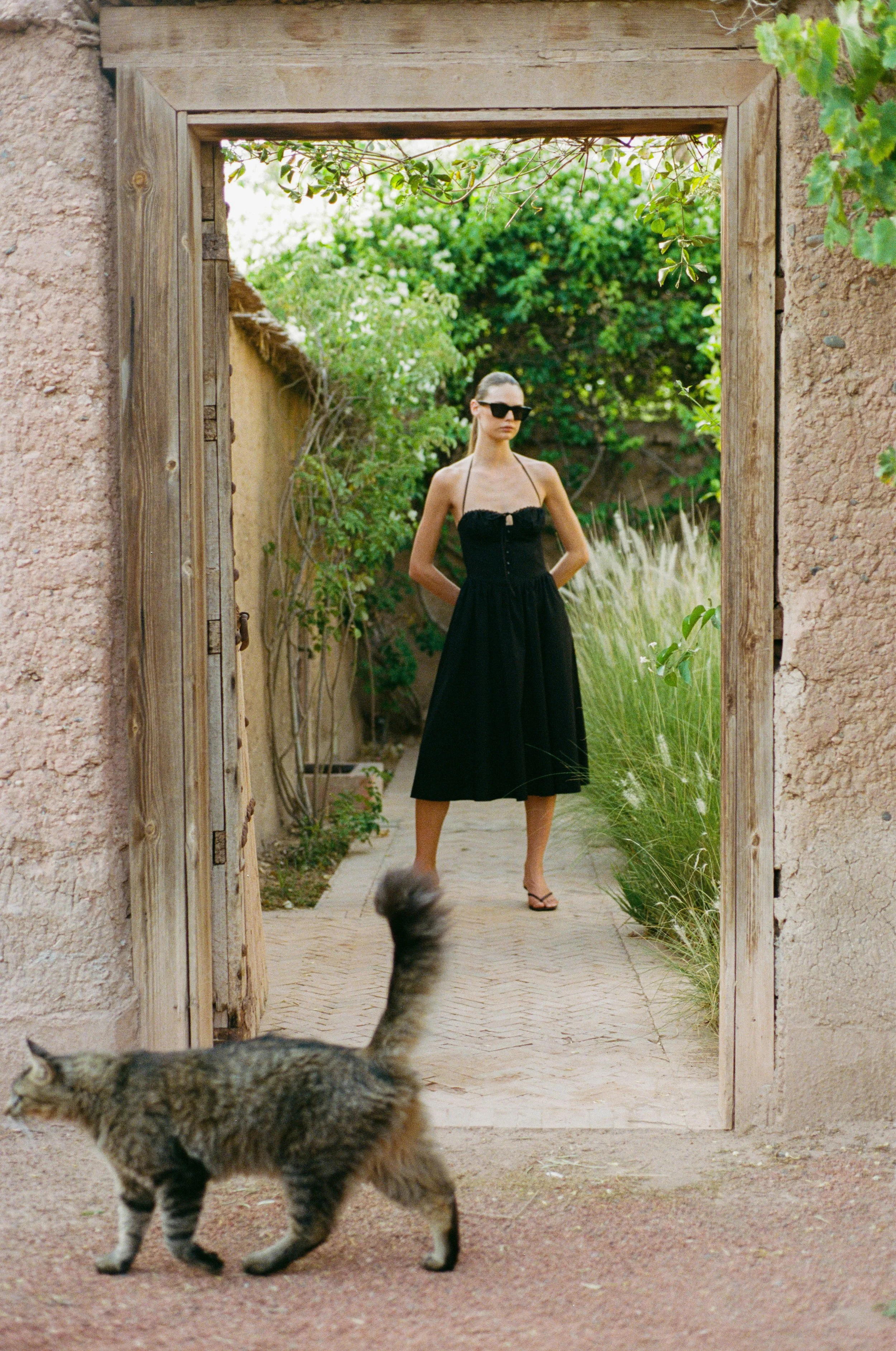 000003620015 copy.jpg