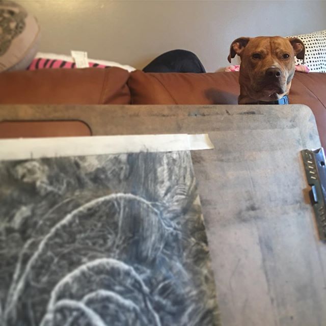 In the stood with a dog in a MOOD.
.
.
.
.
.
.
.
#studiolife #dogsofinstagram #studioassistant #artistsoninstagram #wip #womenartists