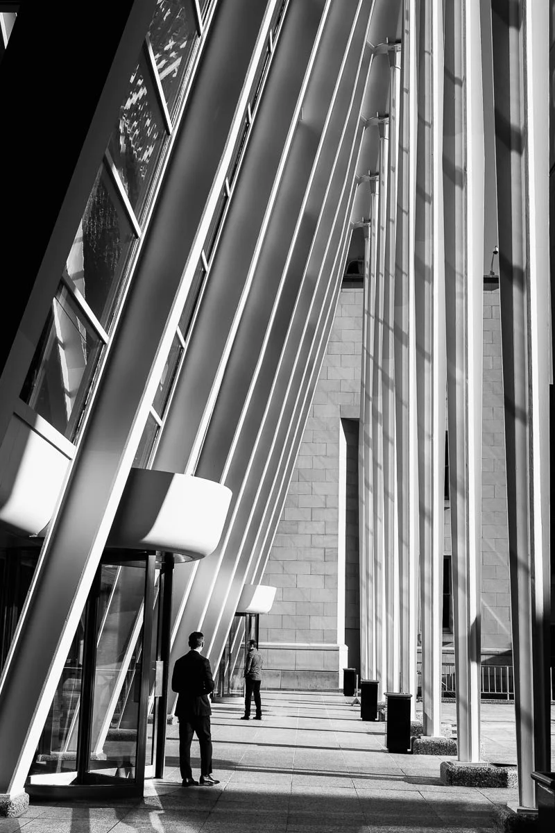 WEB.LEUNG.A Wolf at the Door.2019.DSD_7867.jpg