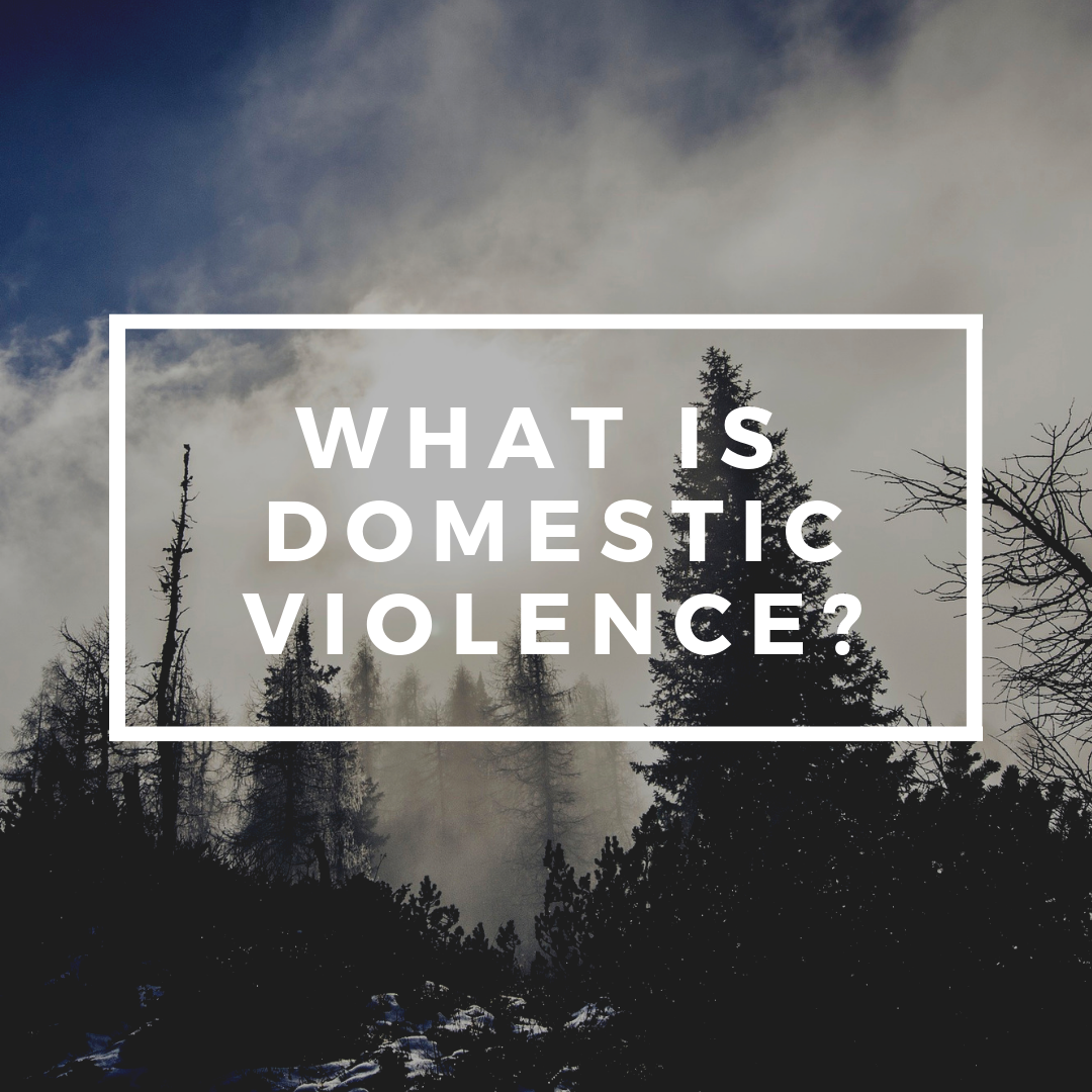 What is Domestic Violence_.png