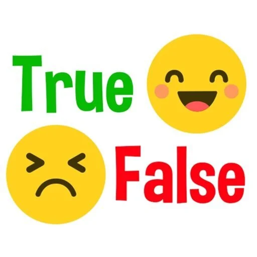 False Twin Flame?