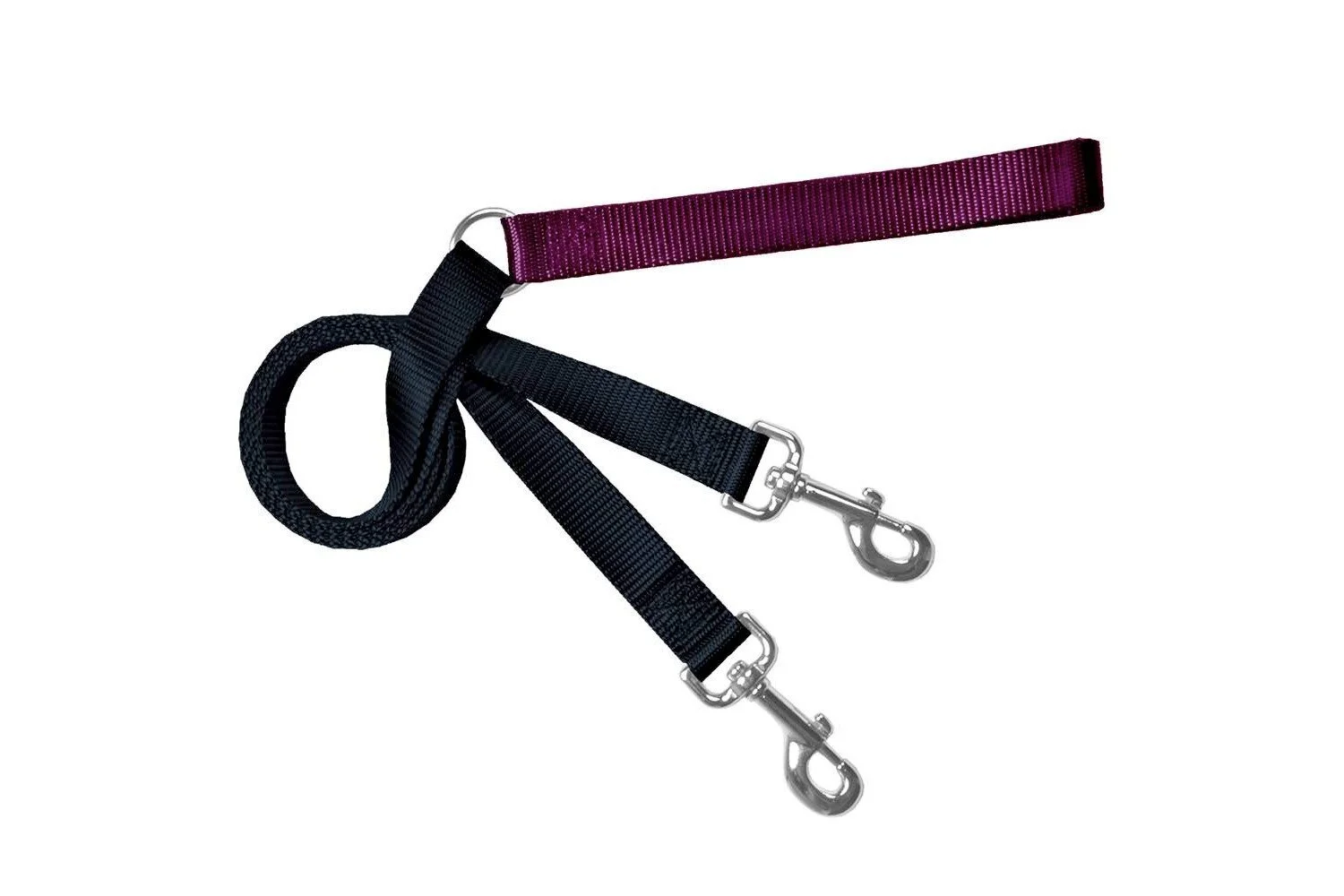 double leash training