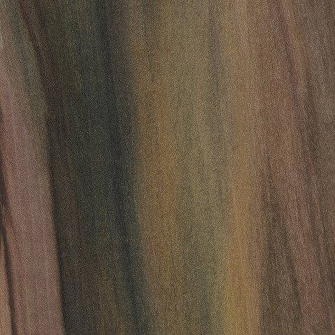Poplar - rainbow