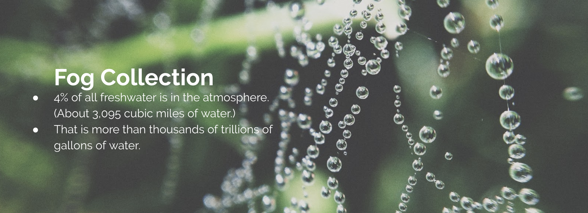 Screen Shot 2019-02-08 at 10.05.50 AM.png