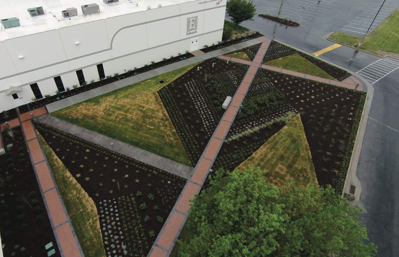 Screen Shot 2019-02-26 at 12.50.10 AM.png