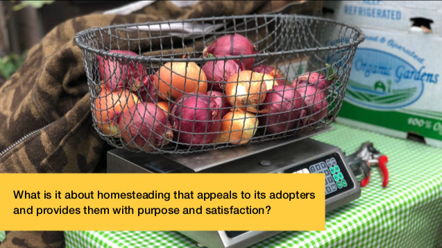 Screen Shot 2019-02-04 at 9.20.08 PM.png