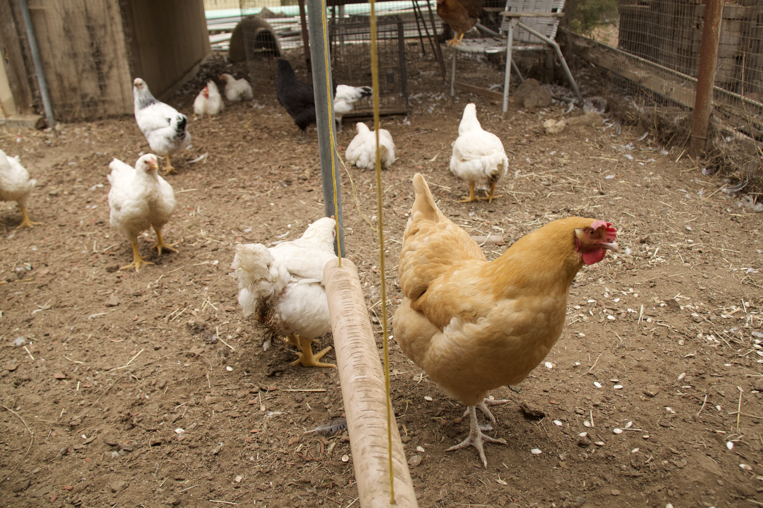 Screen Shot 2019-03-04 at 10.47.19 PM.png