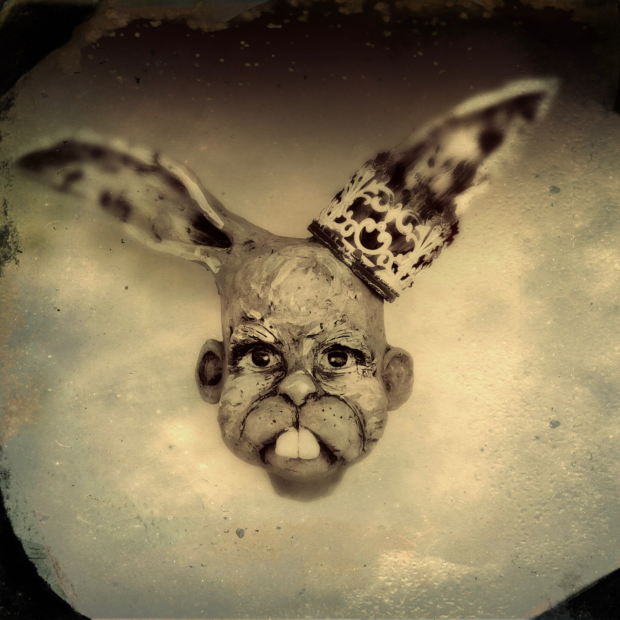 "King Bunny Boy"