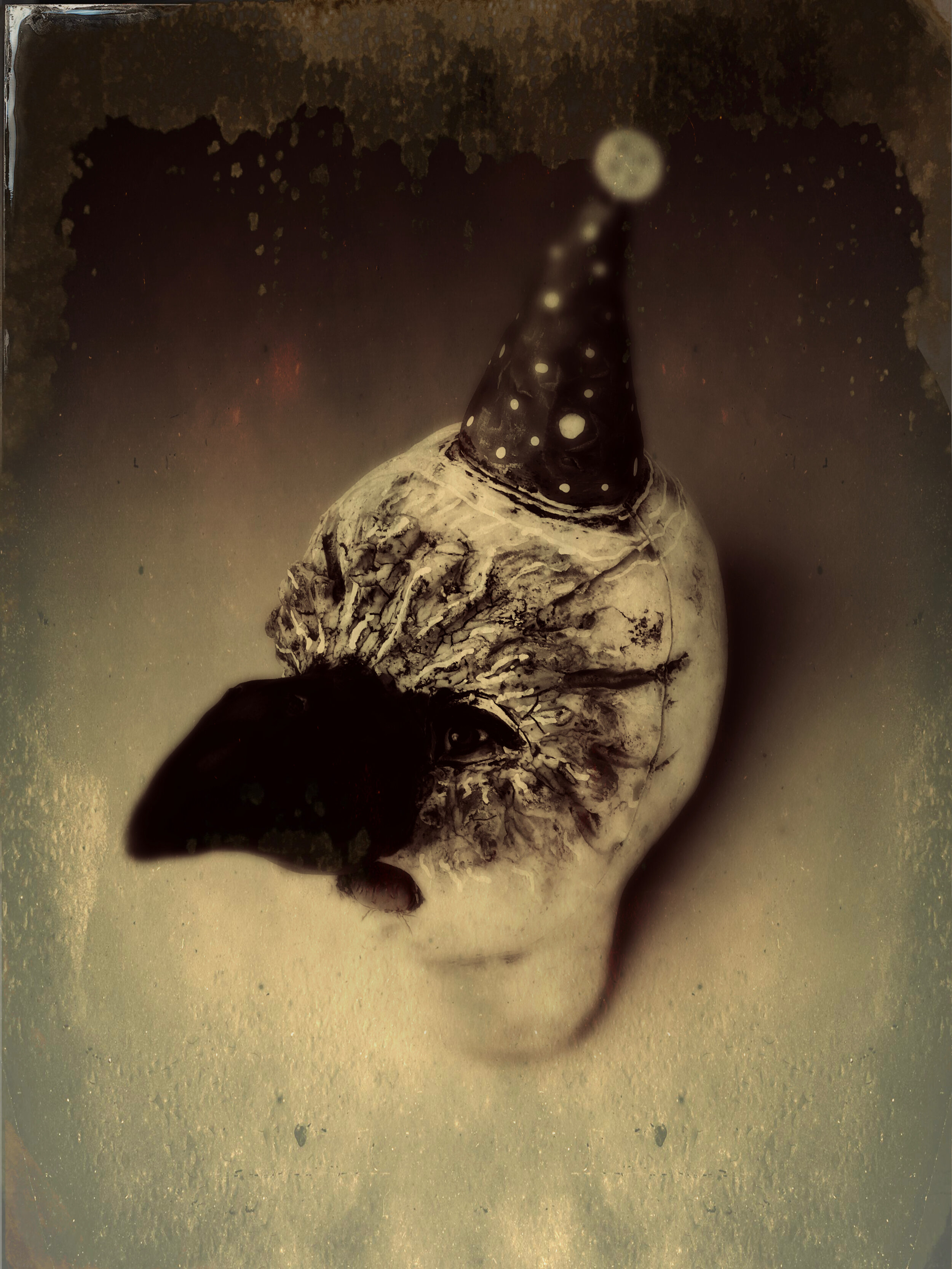 "Bird Party"