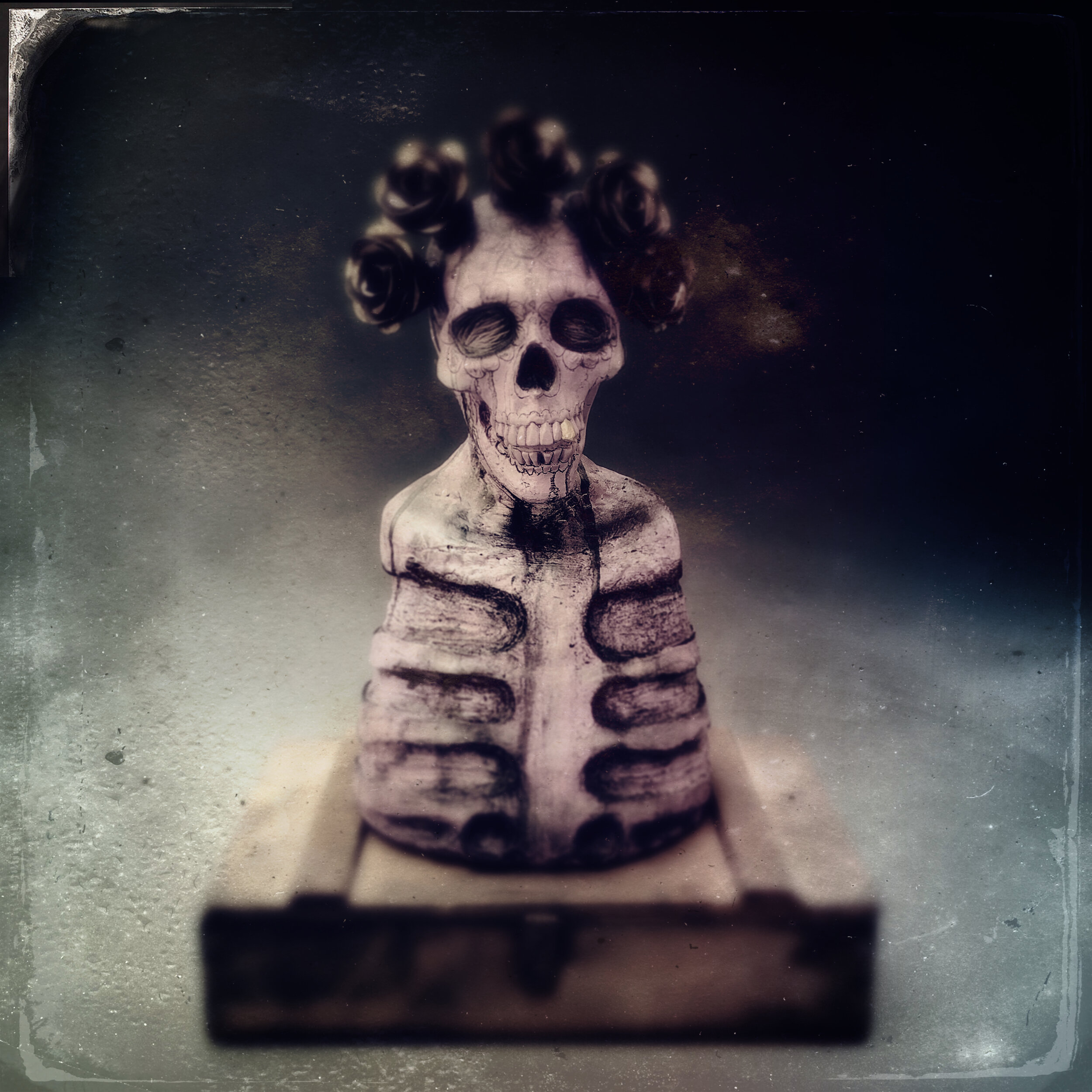 "A.K.A. Skull Girl"
