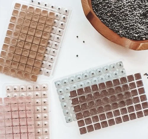 Auricular Acupuncture