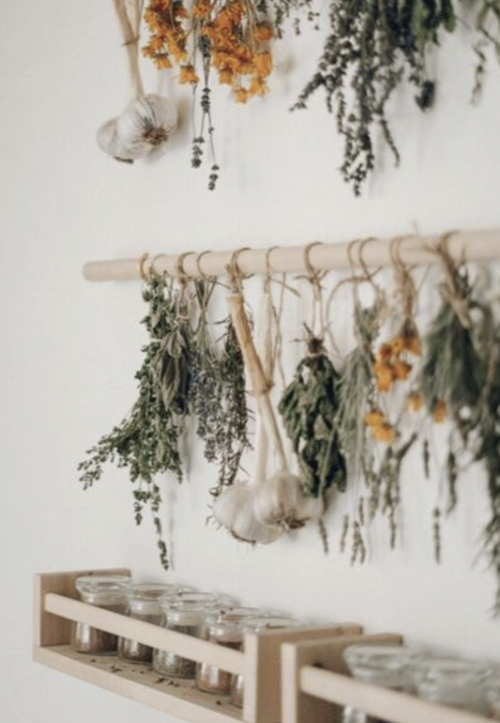 Herbs - Herbology - Tinctures