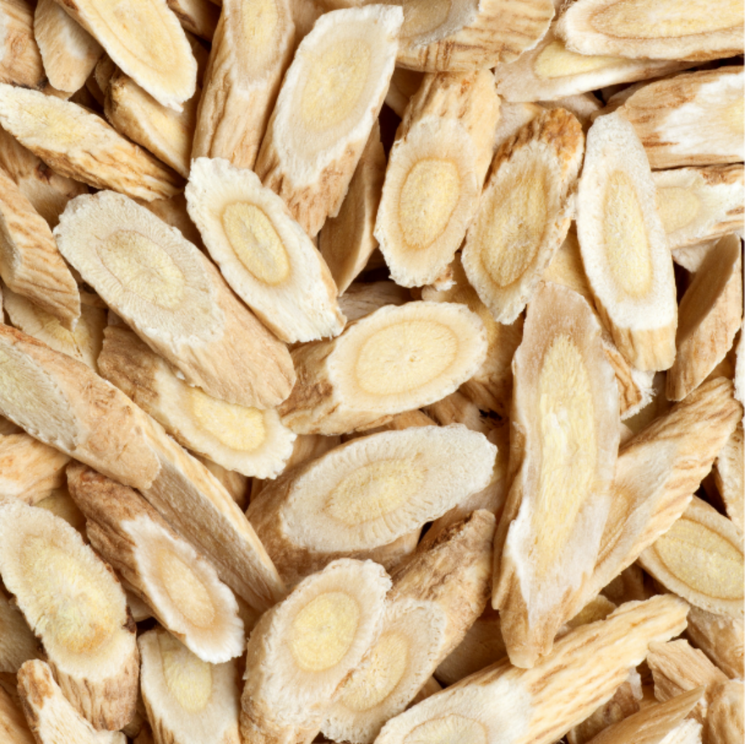 Herb to treat the Kidneys