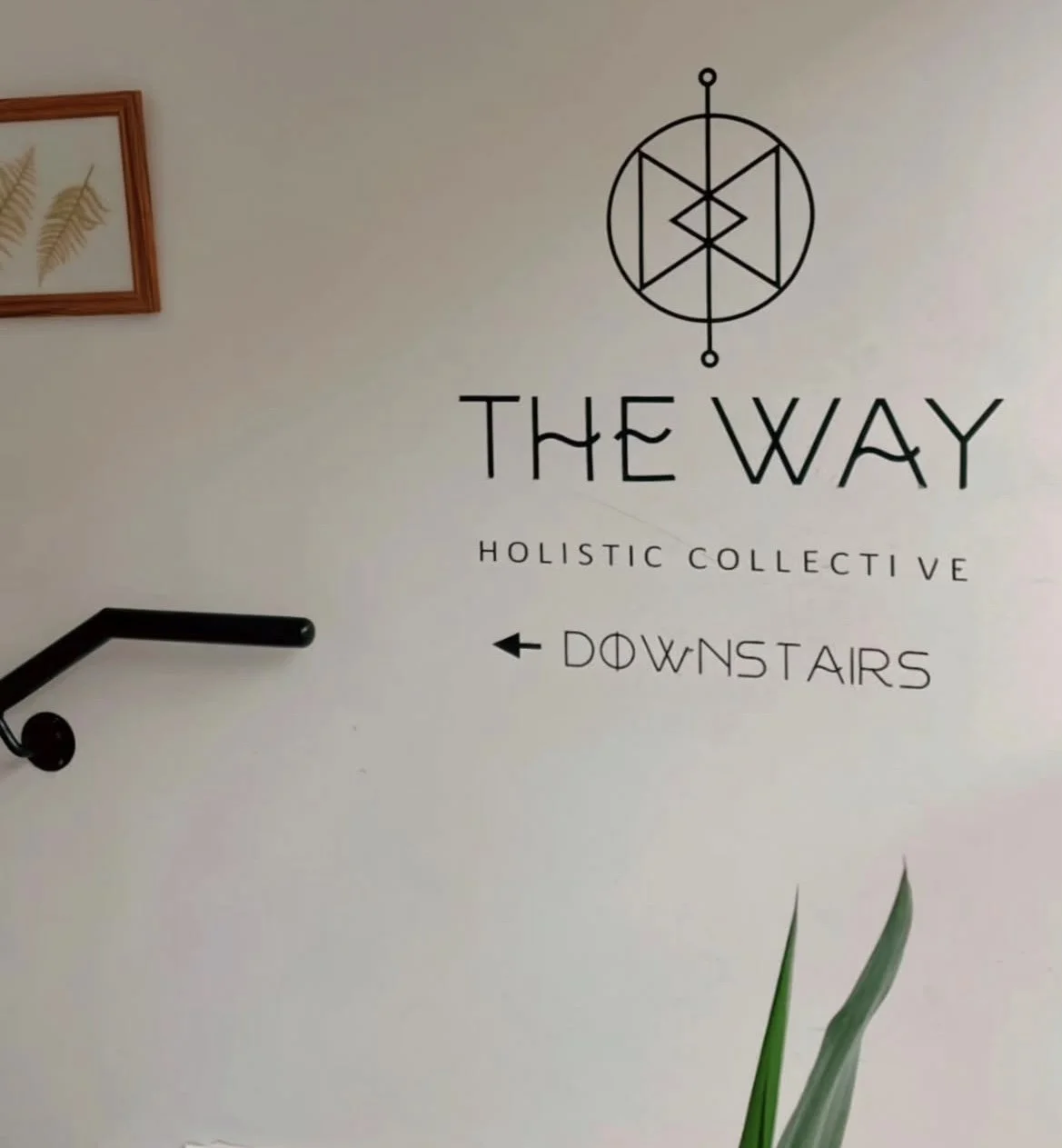 What is Holistic Wellness? 