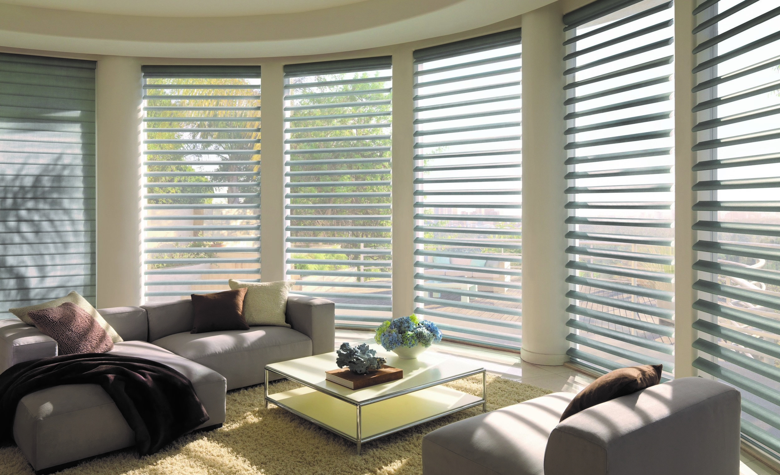 Window Covering Automation.jpg