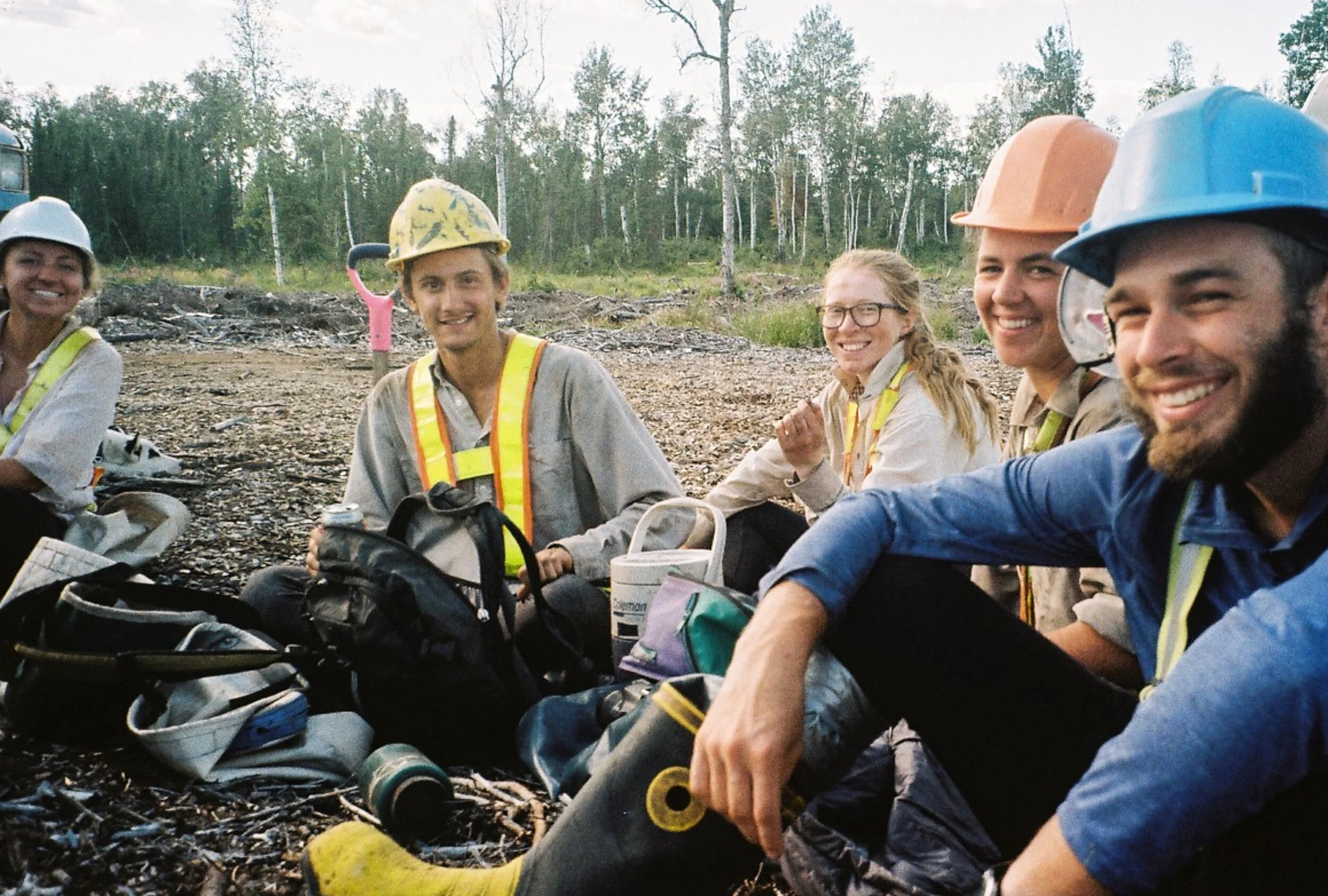 Brinkman Reforestation