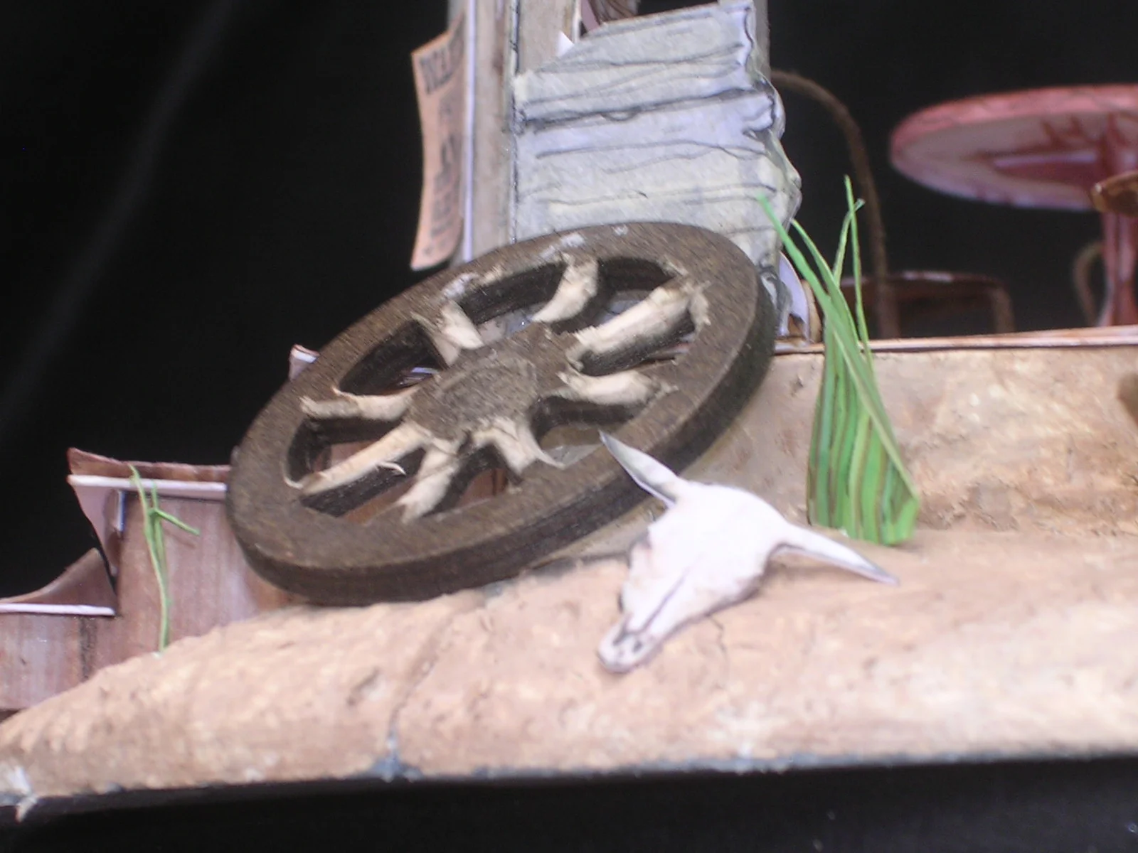 DSCN0725.JPG