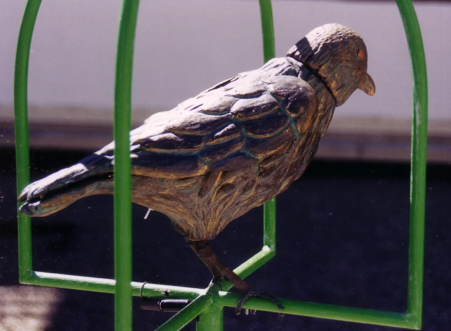 Hans bird 4.jpg