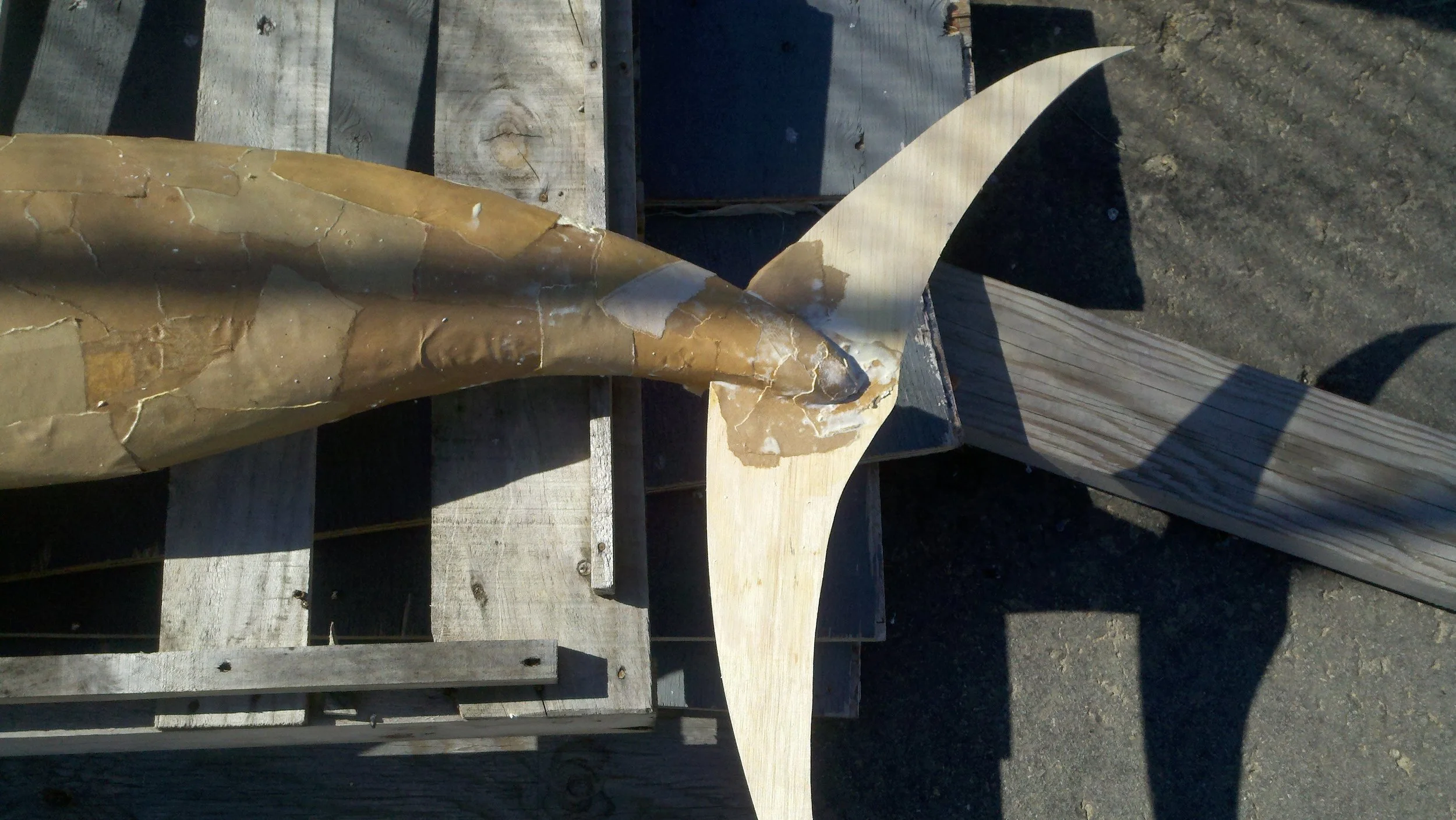 2011-02-10_13-04-22_736.jpg