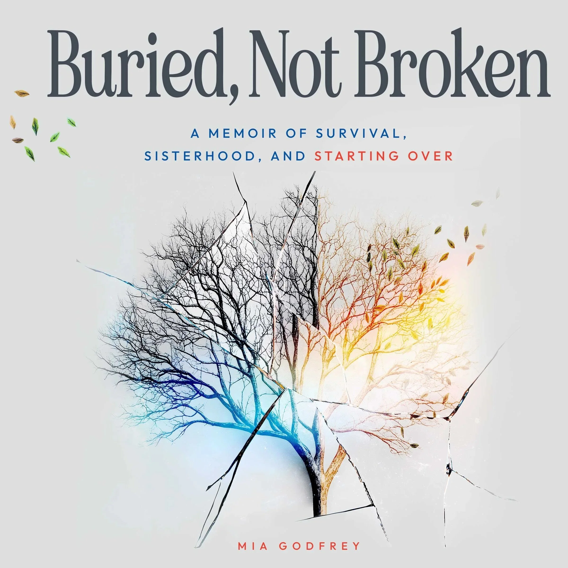 Continuing to Grow: Reflecting on My First Audiobook Production