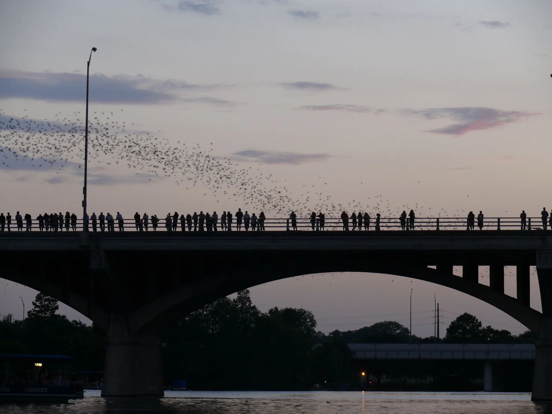 Bat Bridge