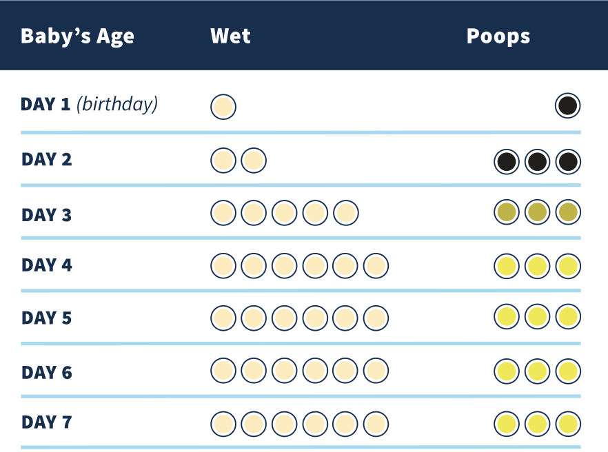 Diaper Count Newborn Chart