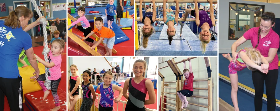 Gymnastics-web-banner.jpg