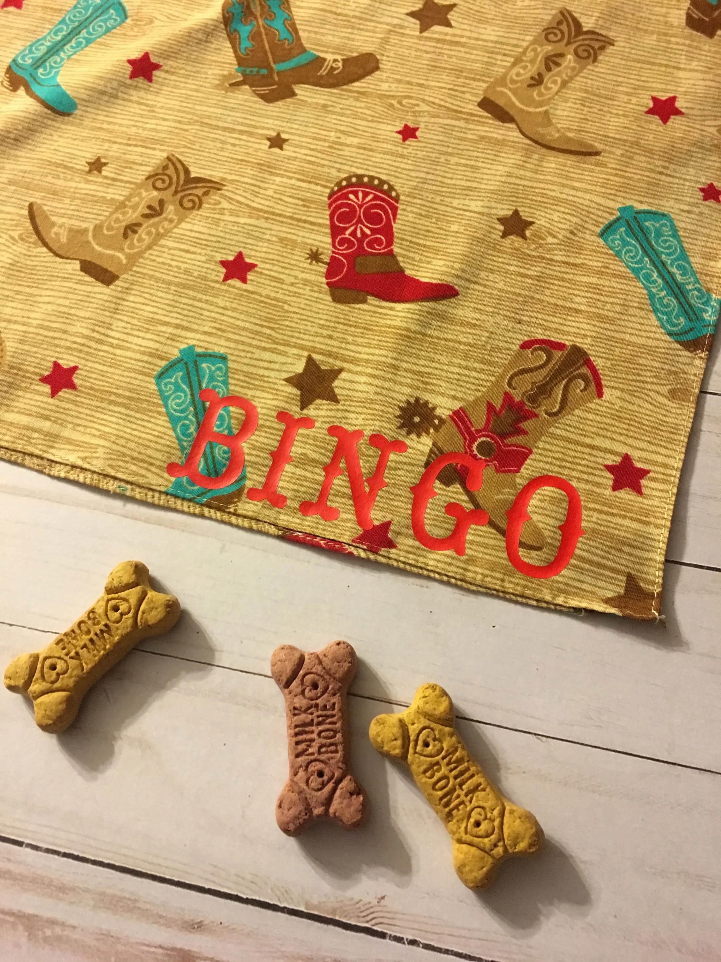 Bandana-cowboy boots motif 