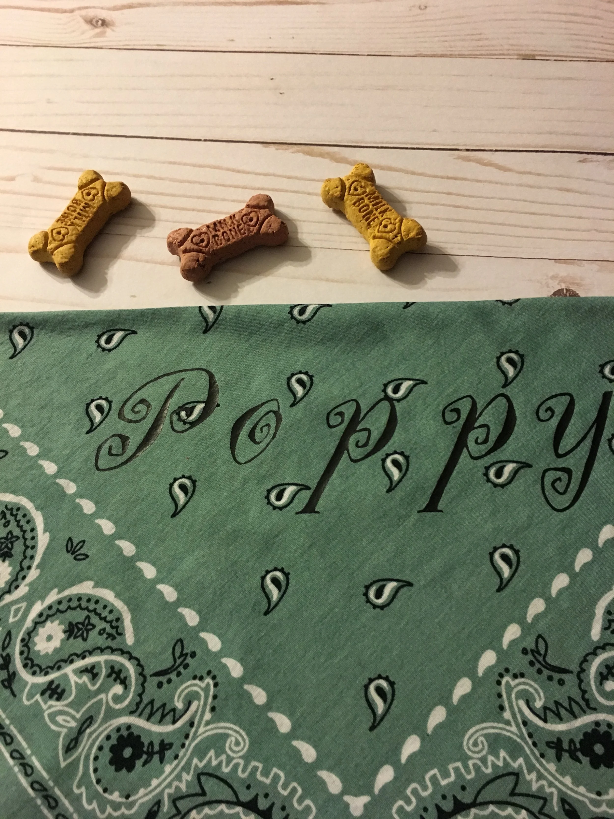 Traditional bandana-sea-foam green