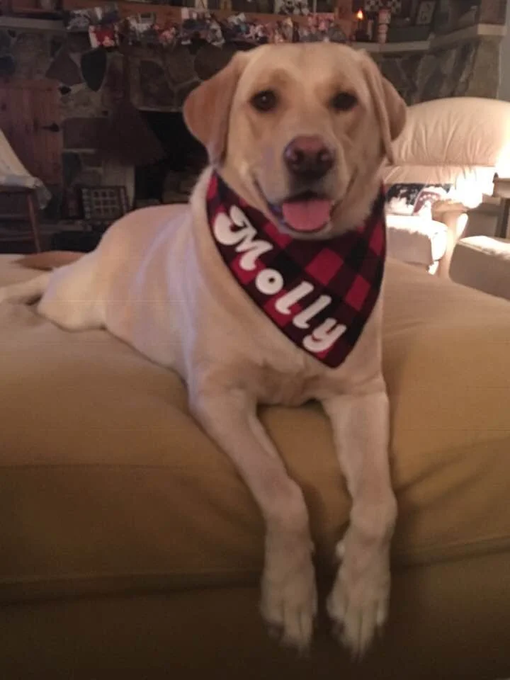 Molly