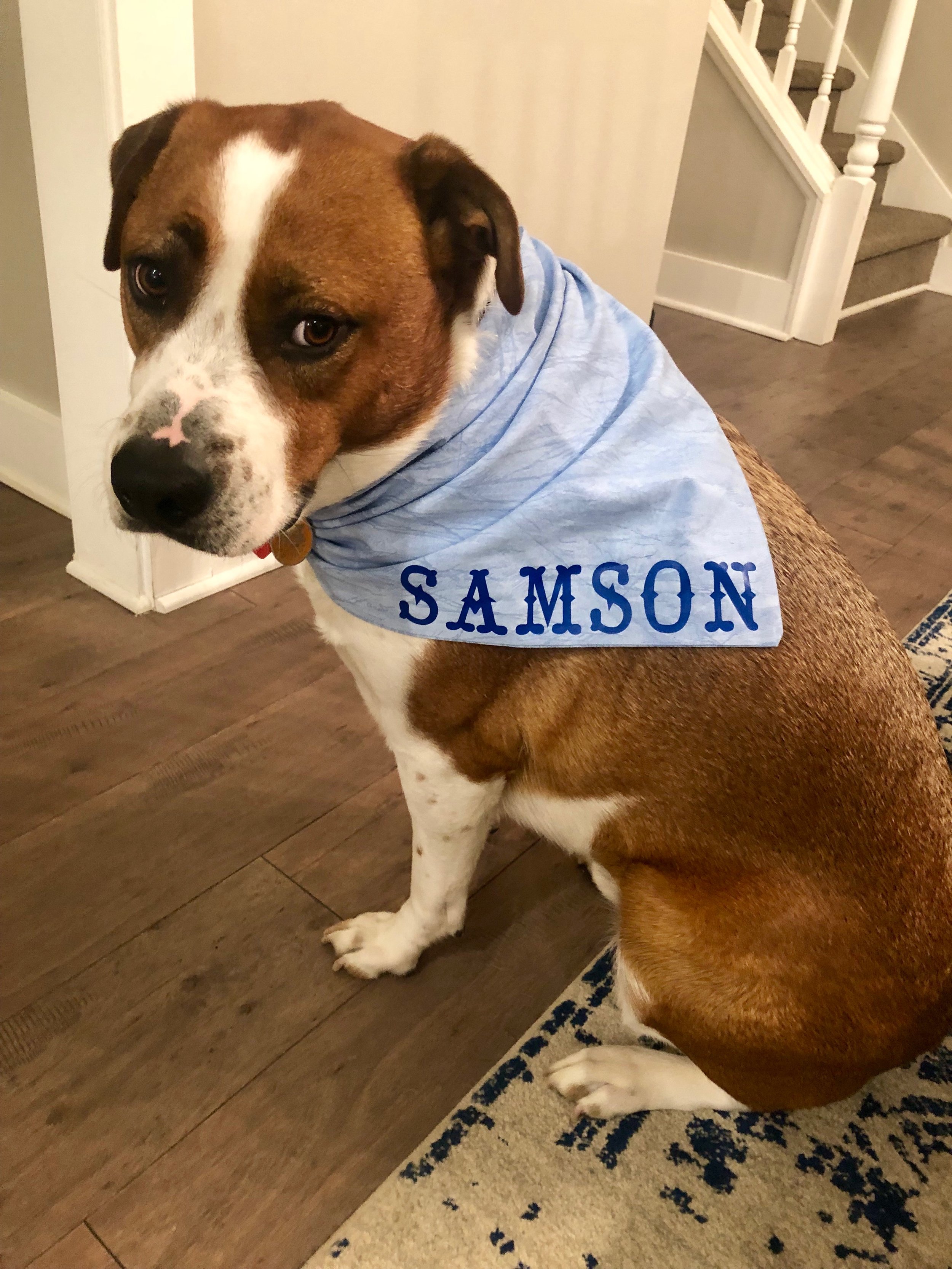 Samson