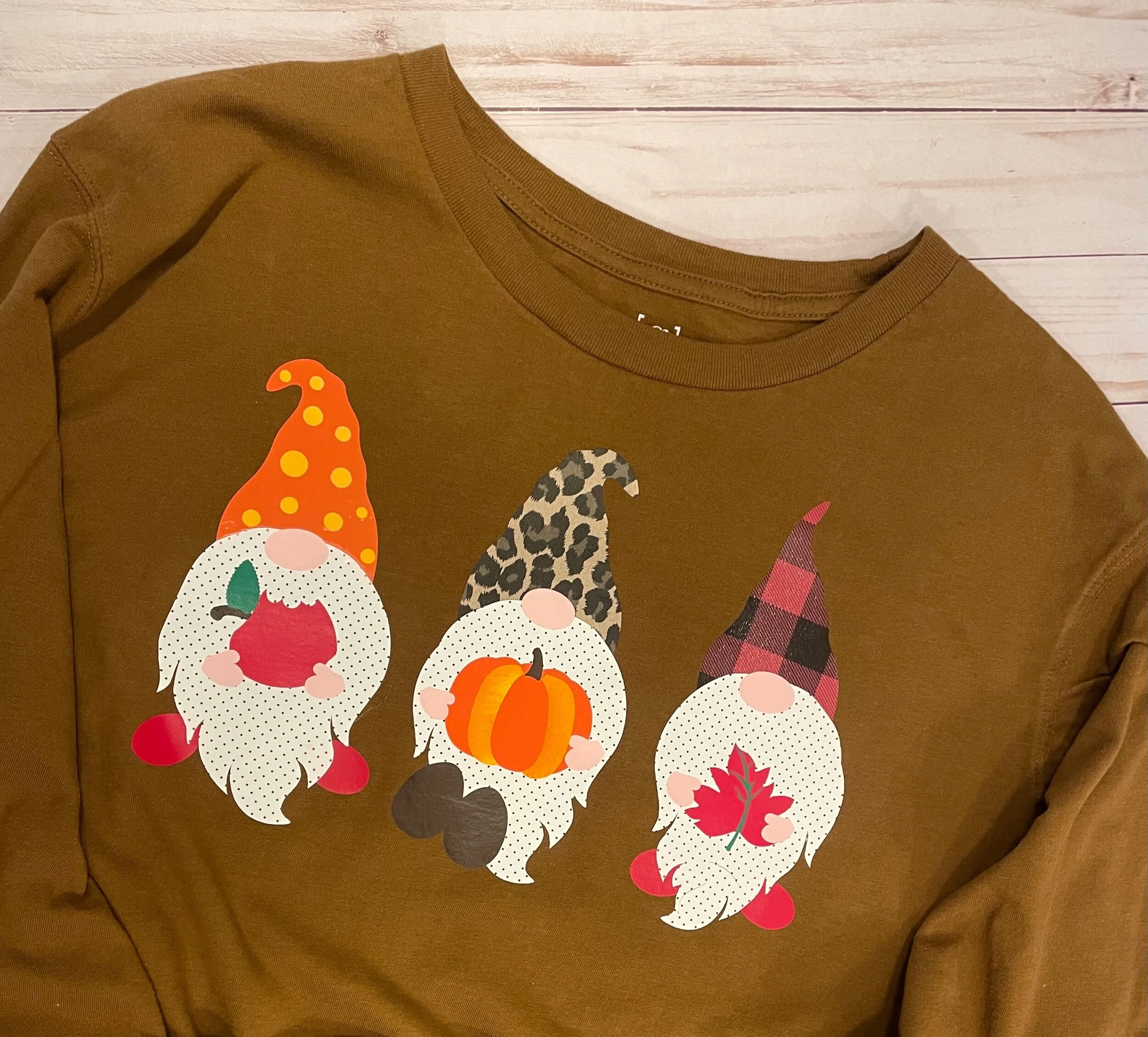 Autumn Gnomes