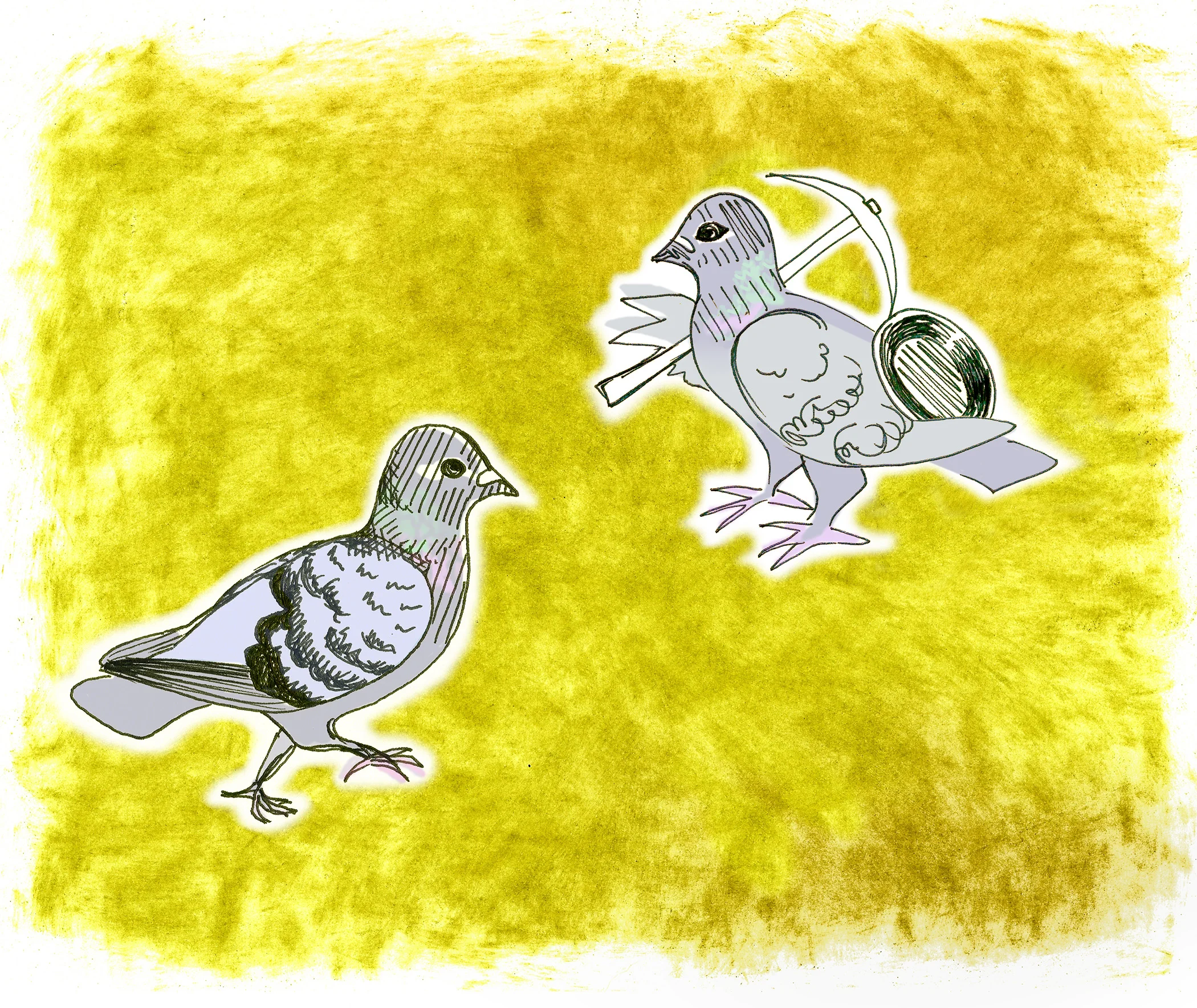SF History Animals: Pigeon
