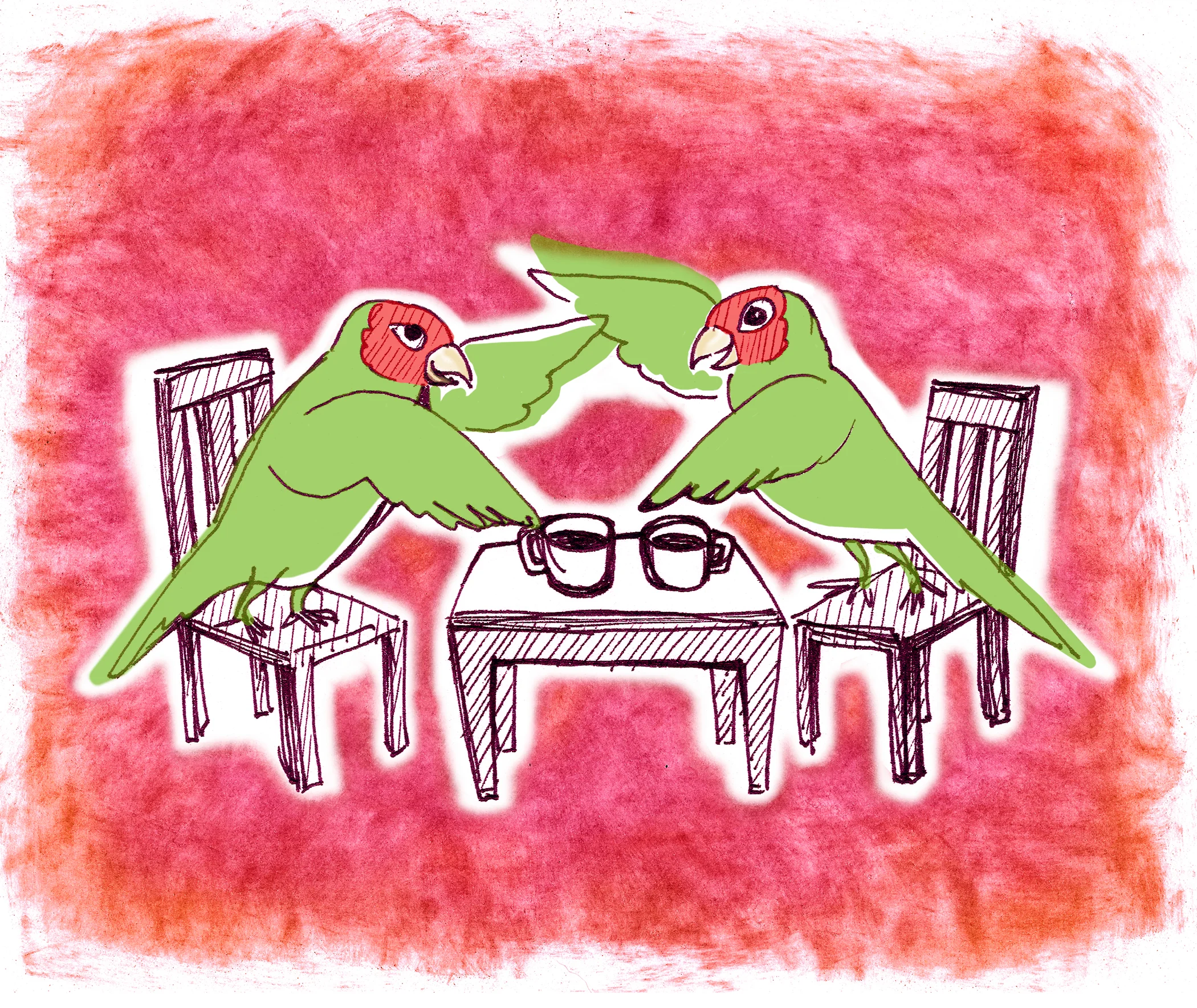 SF History Animals: Conure