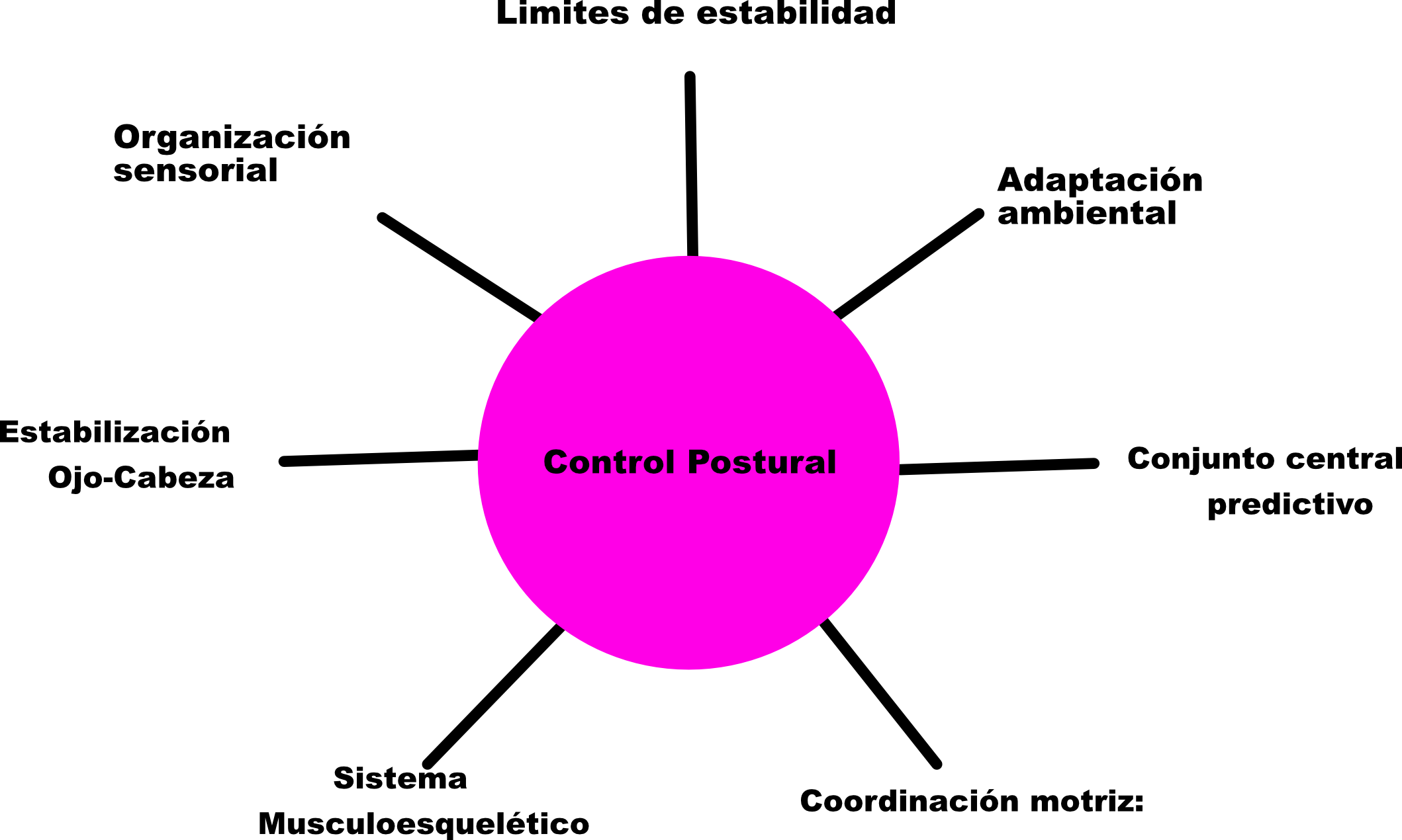 Control Postural.png