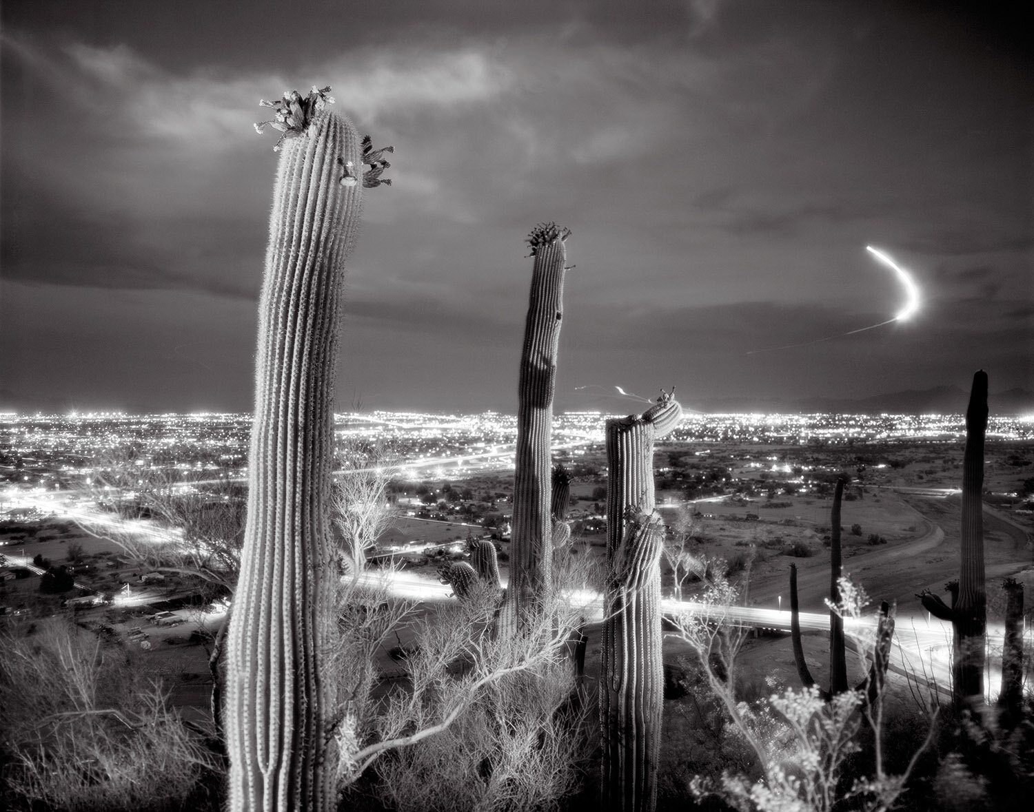 Saguaros and Police Helicopter, view of Tucson from A-Mountain, b/w version
