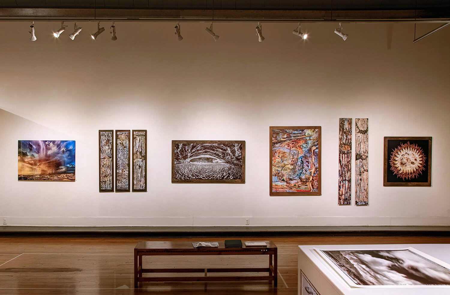 William Lesch Gallery Exhibit at Etherton Gallery, Tucson, AZ