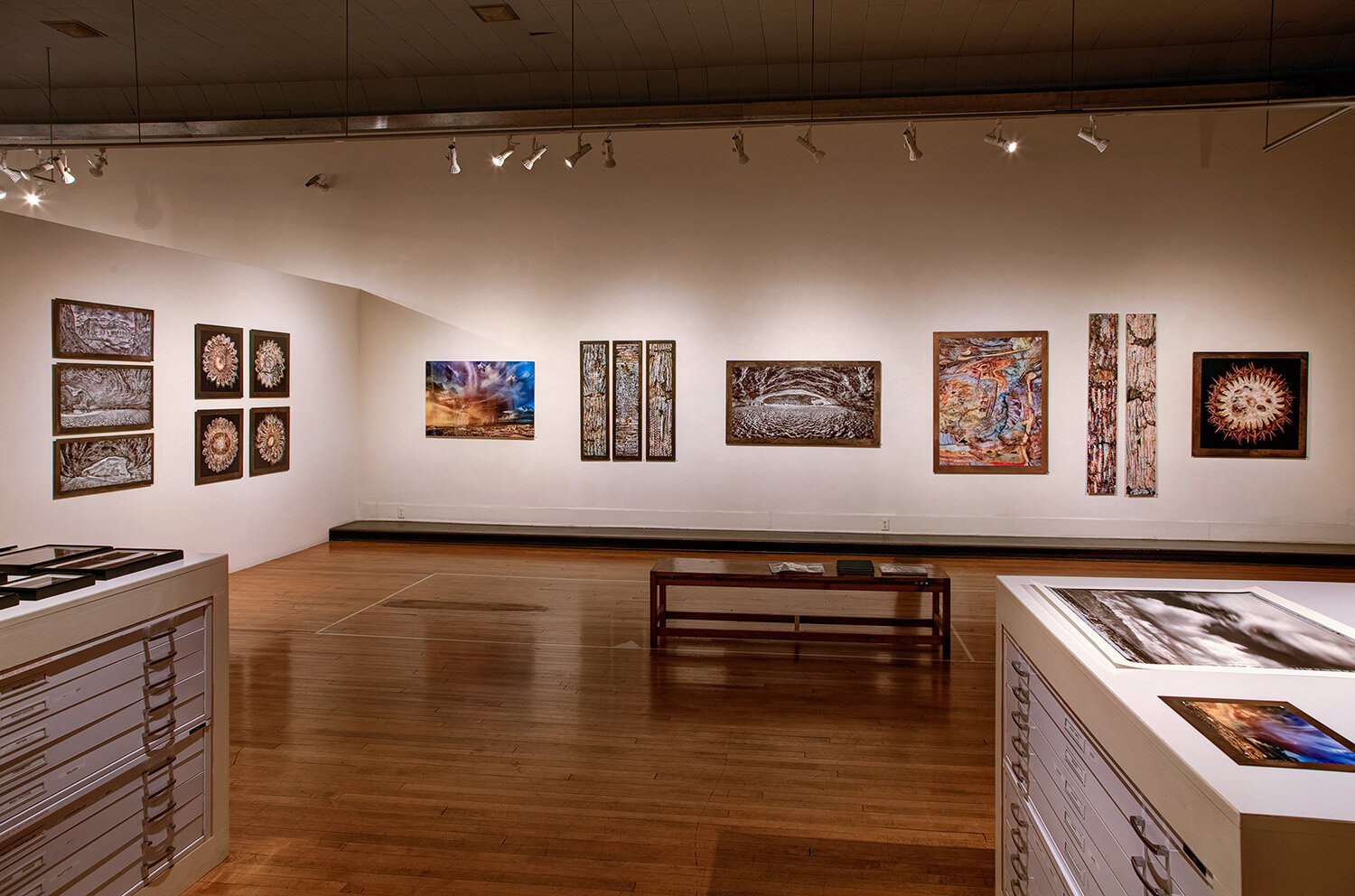 William Lesch Gallery Exhibit at Etherton Gallery, Tucson, AZ