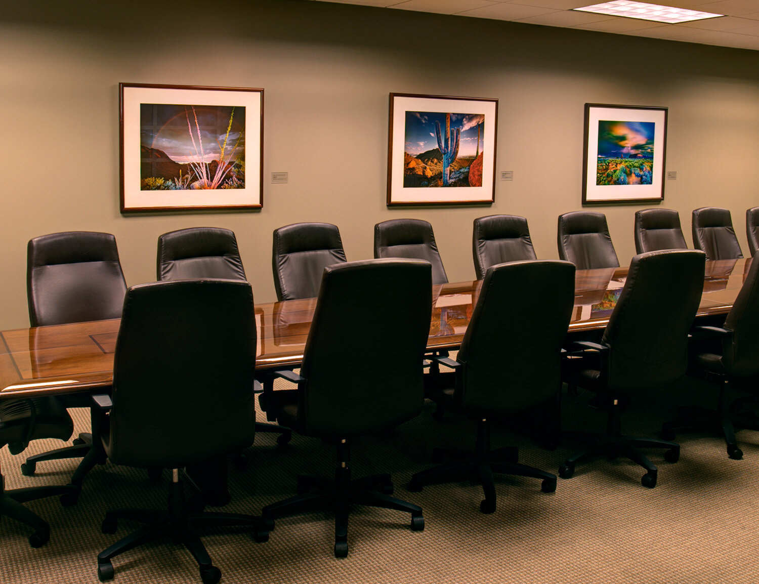 William Lesch Corporate Collection Boardroom, Installation View