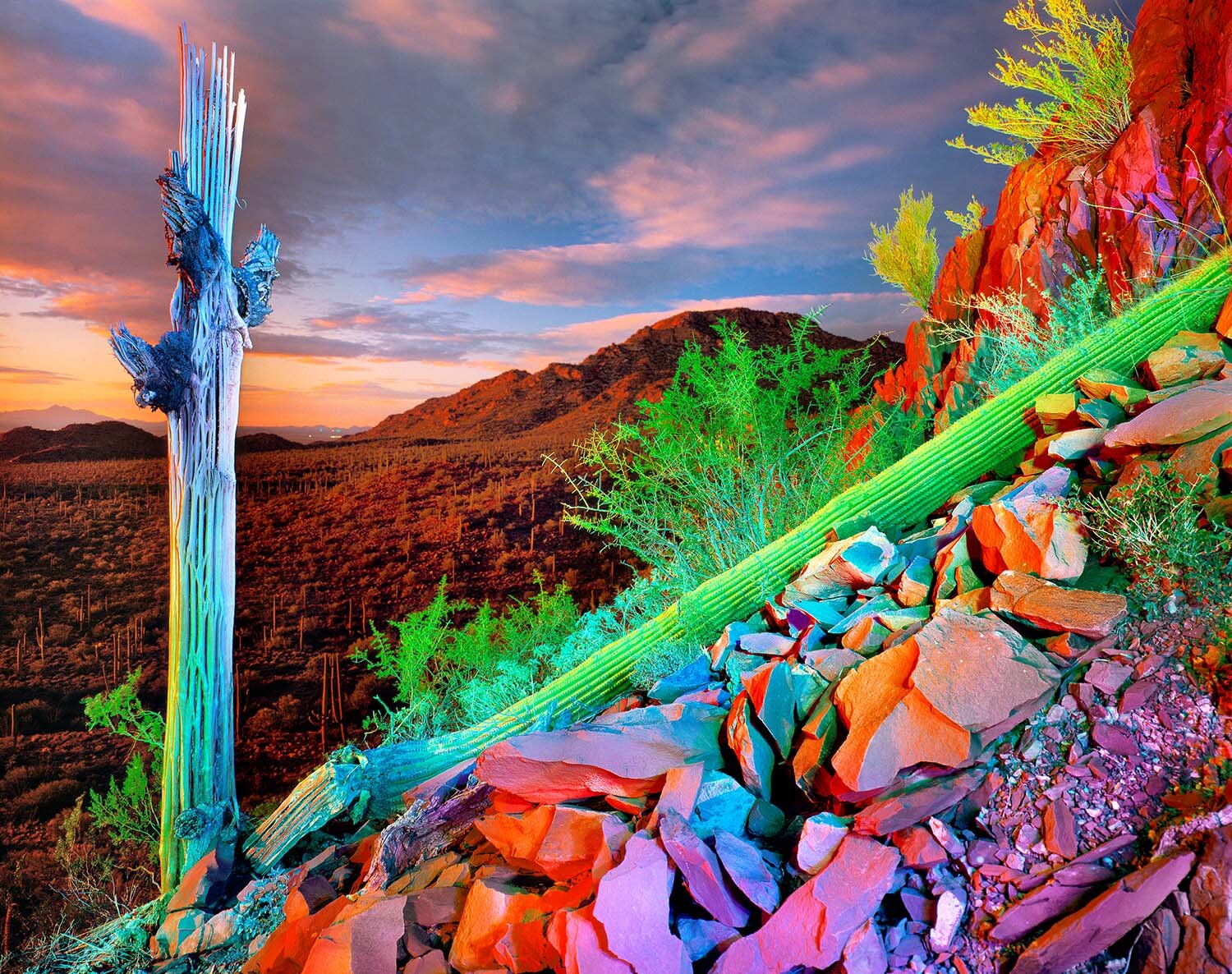 Red Mountain and Clouds, Saguaro N.P., Tucson, AZ