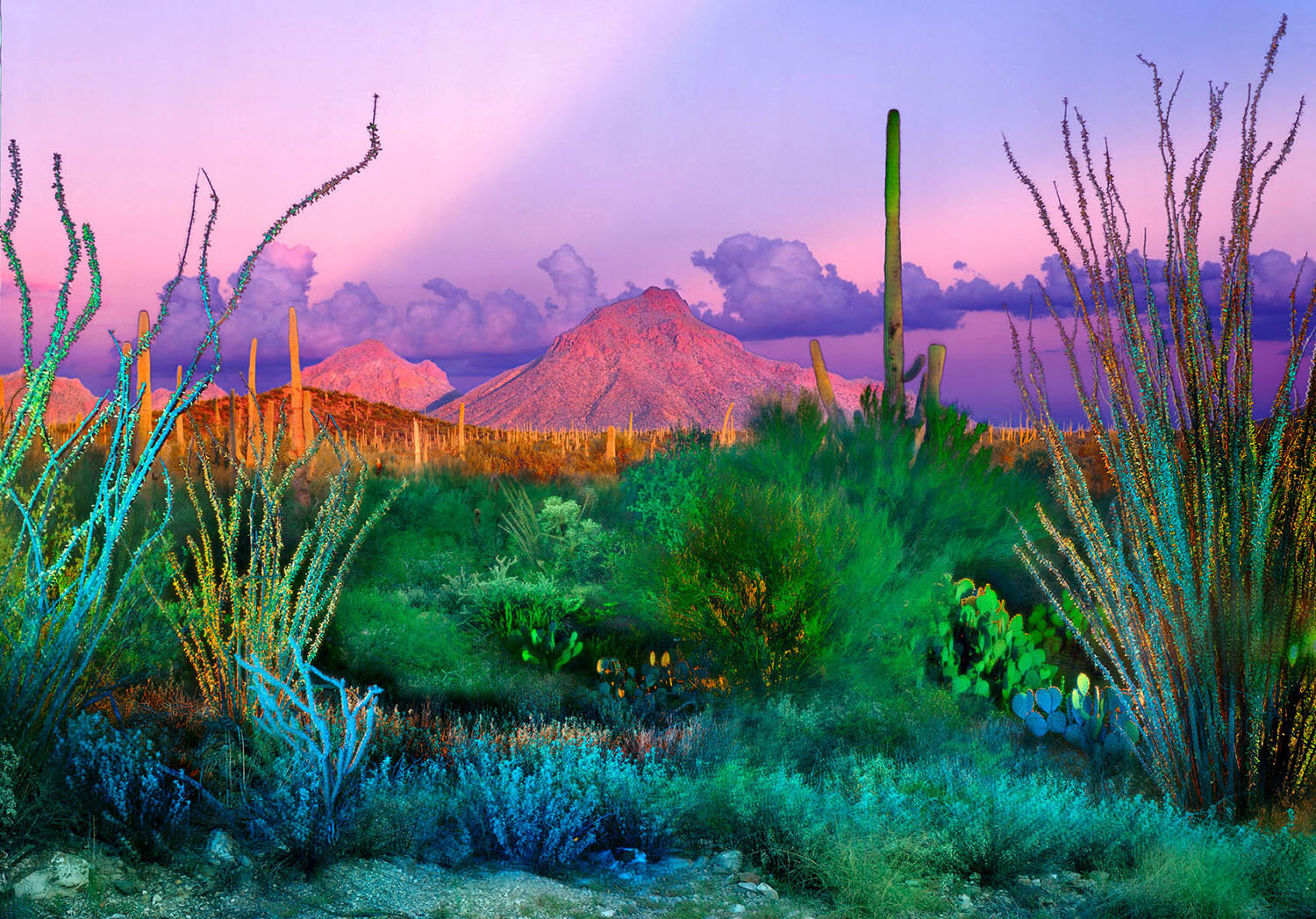 Afternoon, Sunset, Night and Desert Dawn, Tucson Mountains, AZ