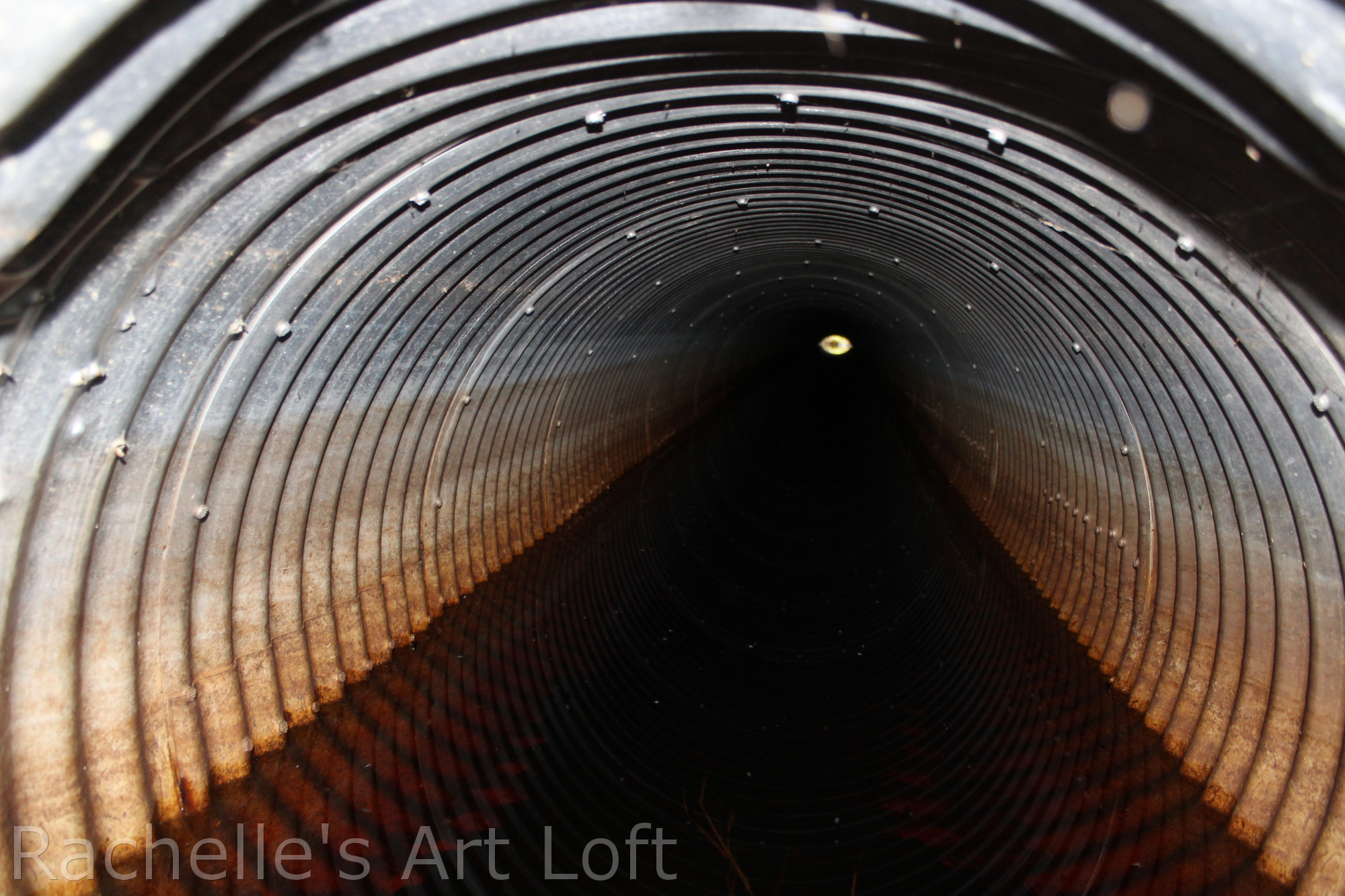 tunnel.JPG