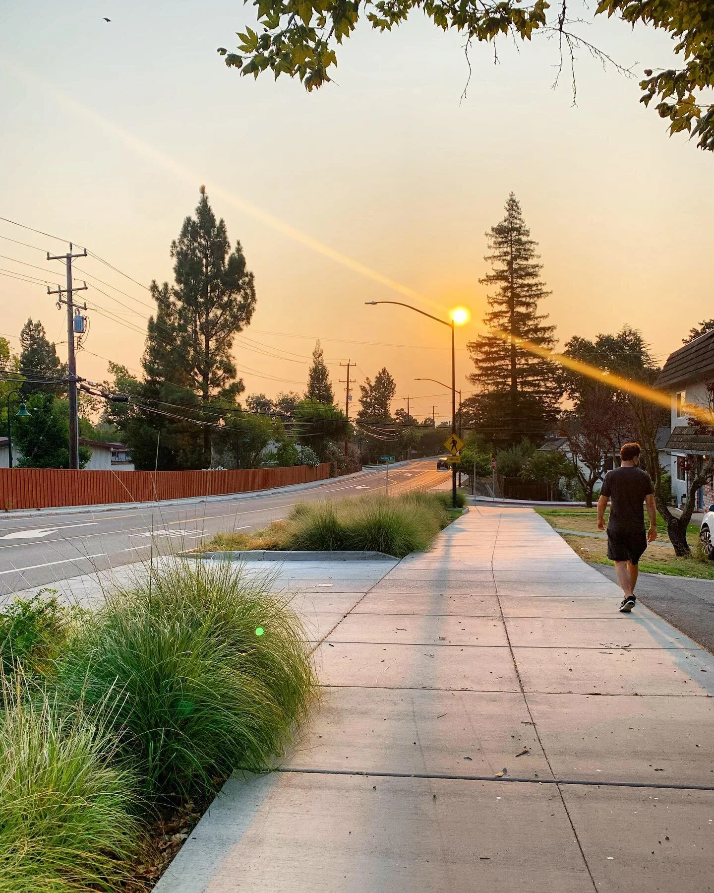 Snuck in a masked morning walk before the AQI went above 100 for the day ☄️ #californiafires #morningwalk #smokysunrise