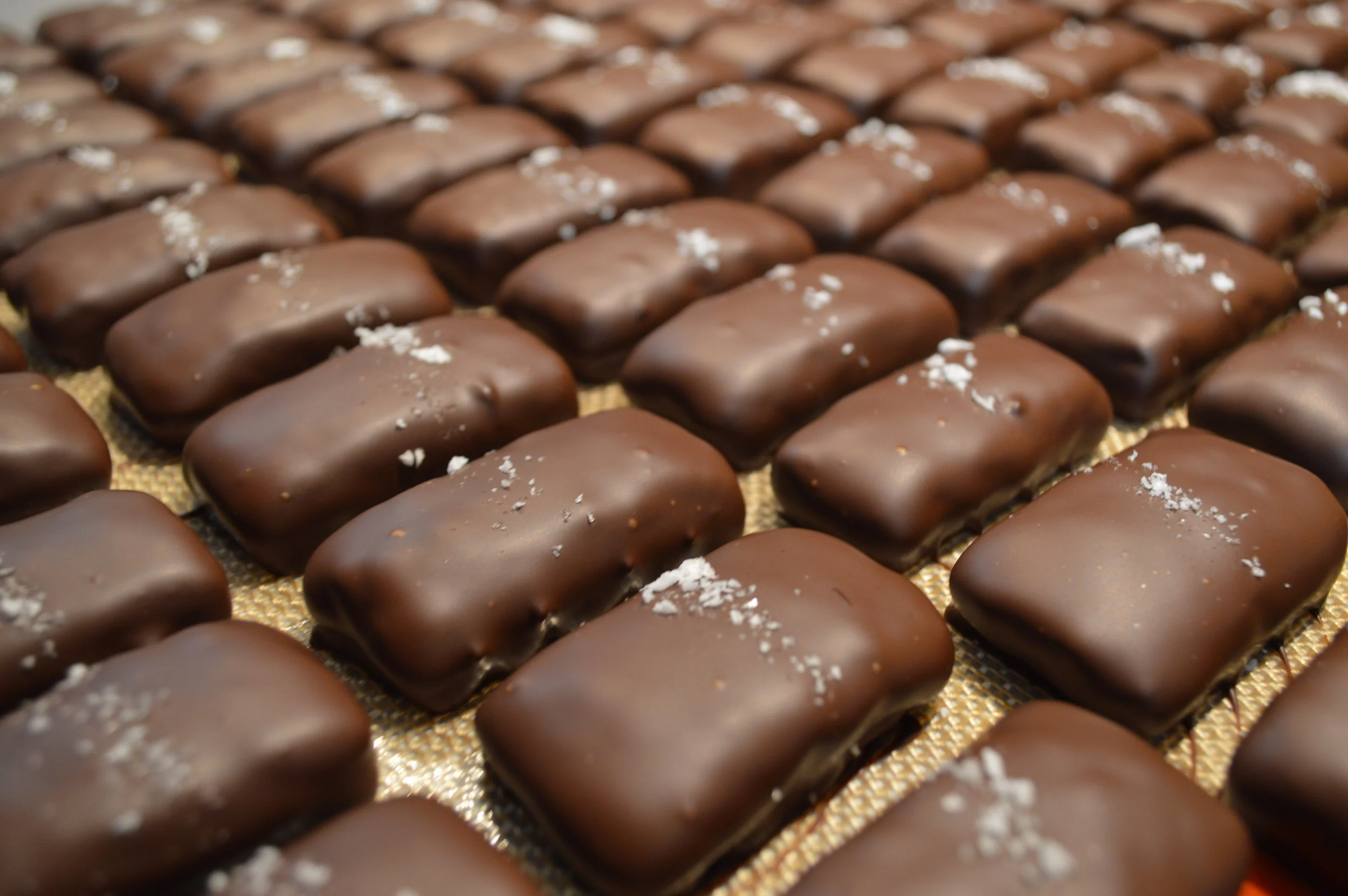 honey bar jr picture.JPG