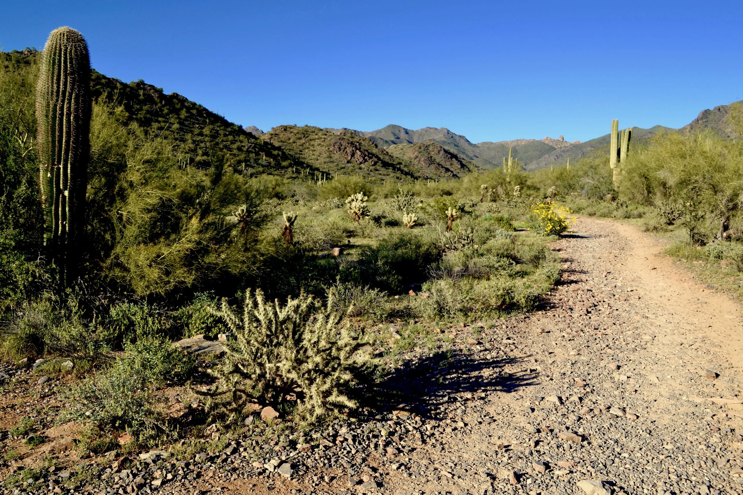 _DSC0186.jpg