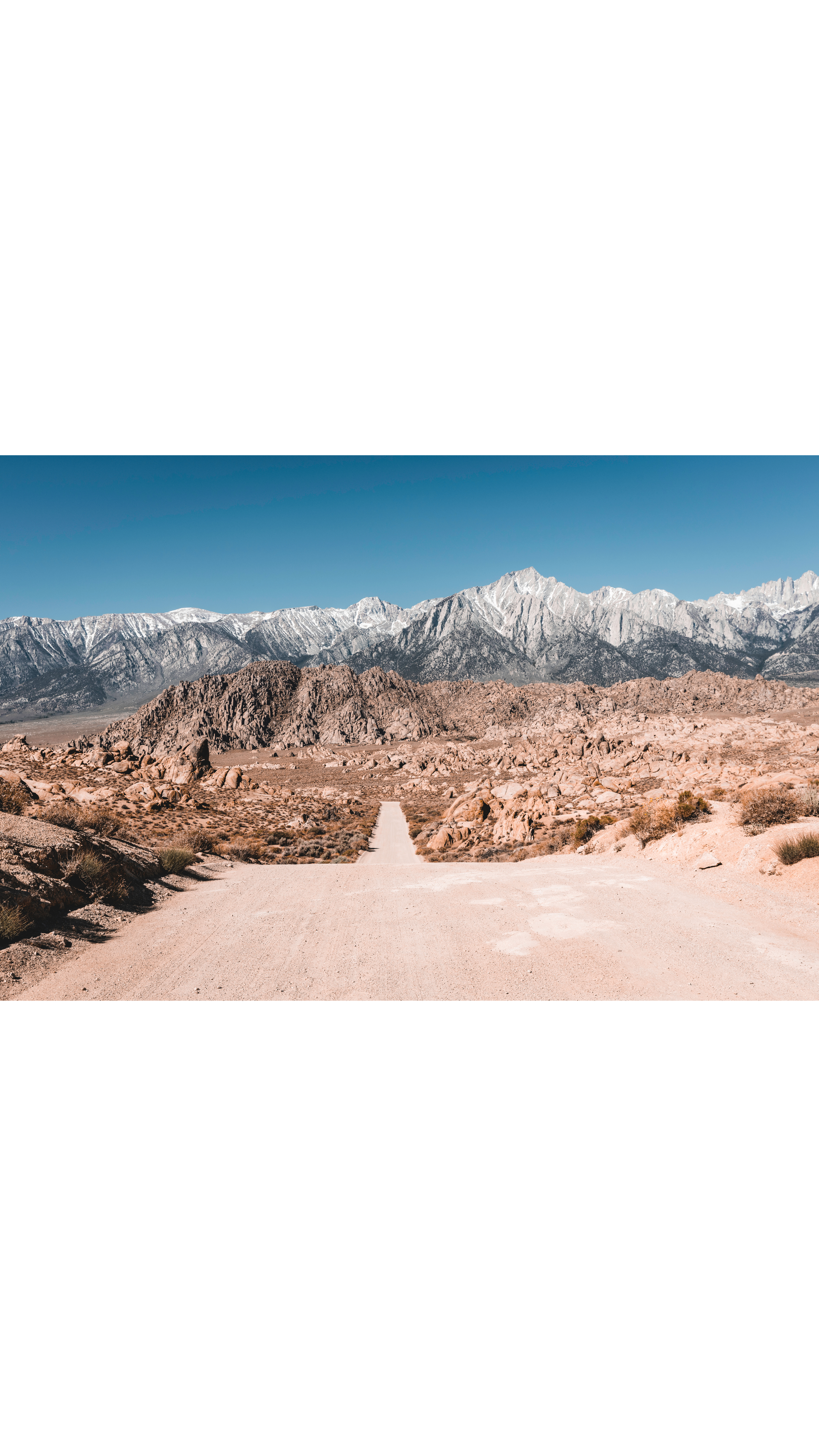 Untitled design-16.png