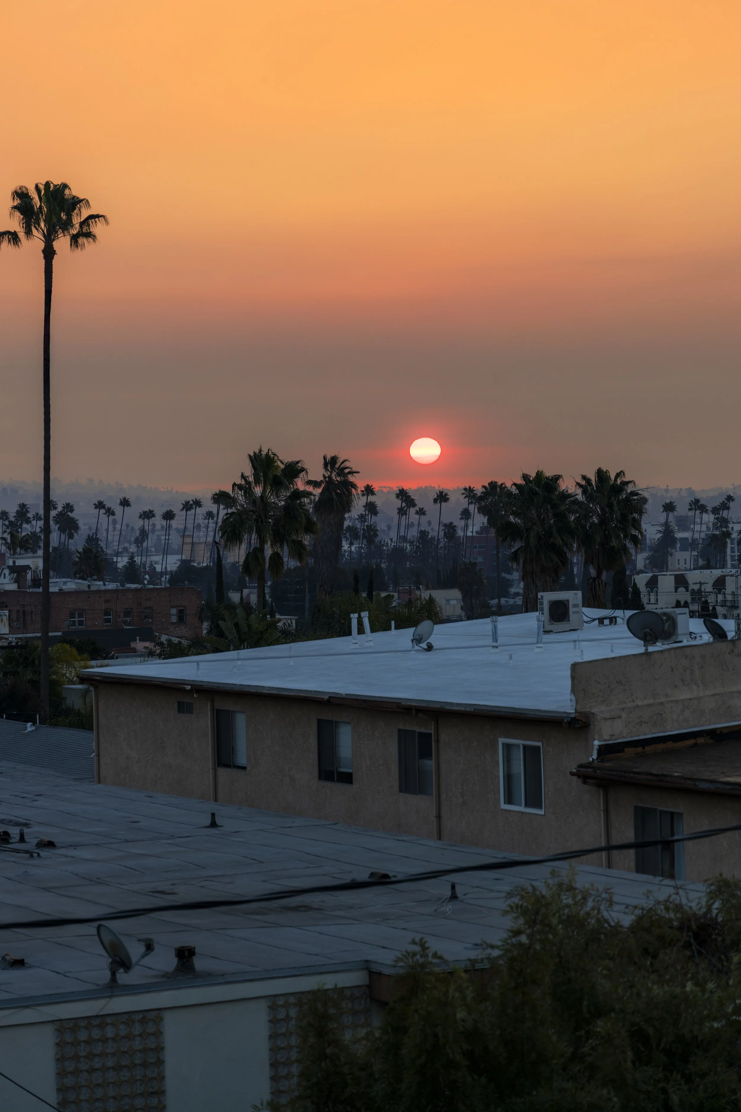 LA Fires at Sunrise | Los Angeles, CA