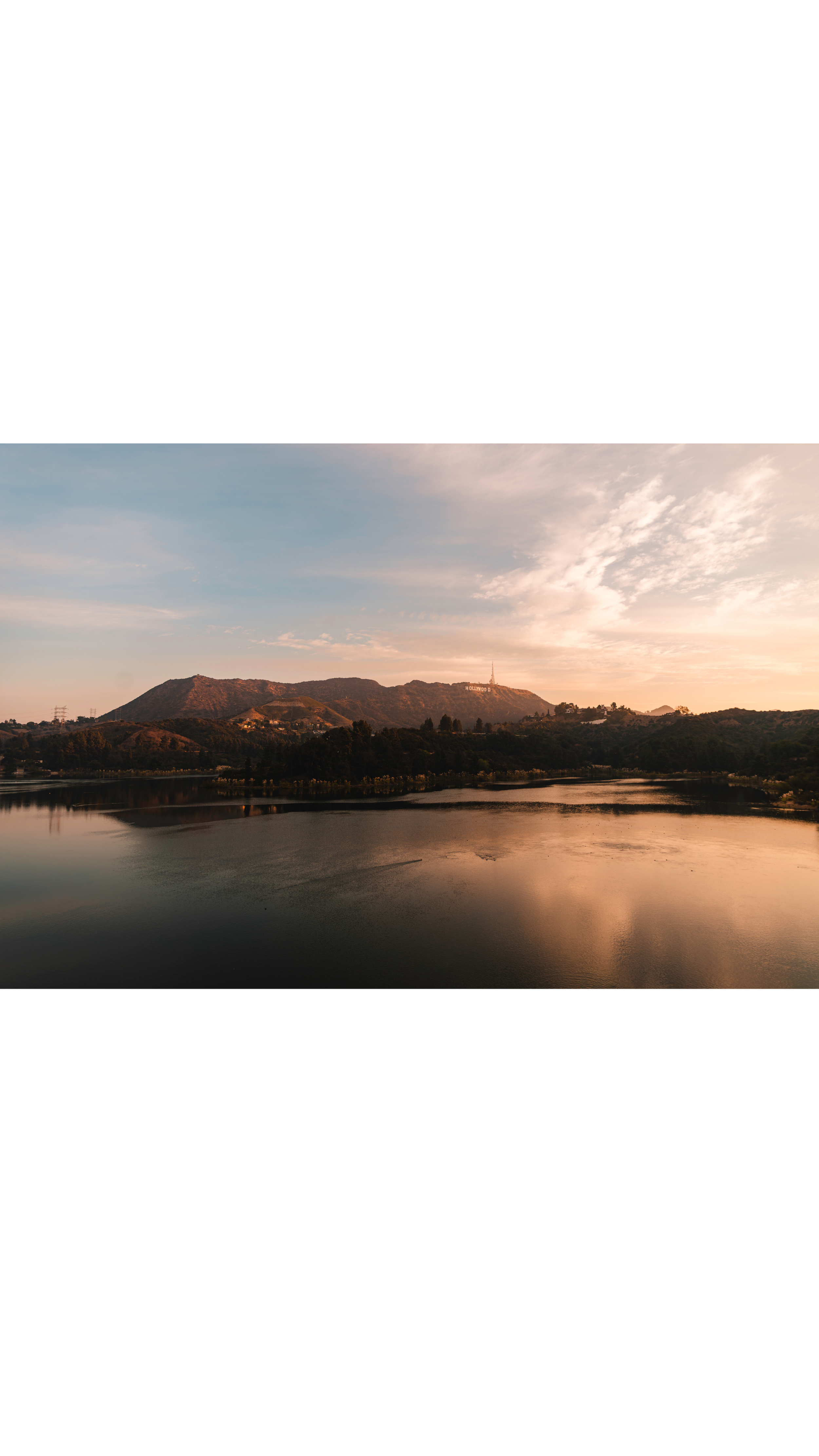 Untitled design-13.png