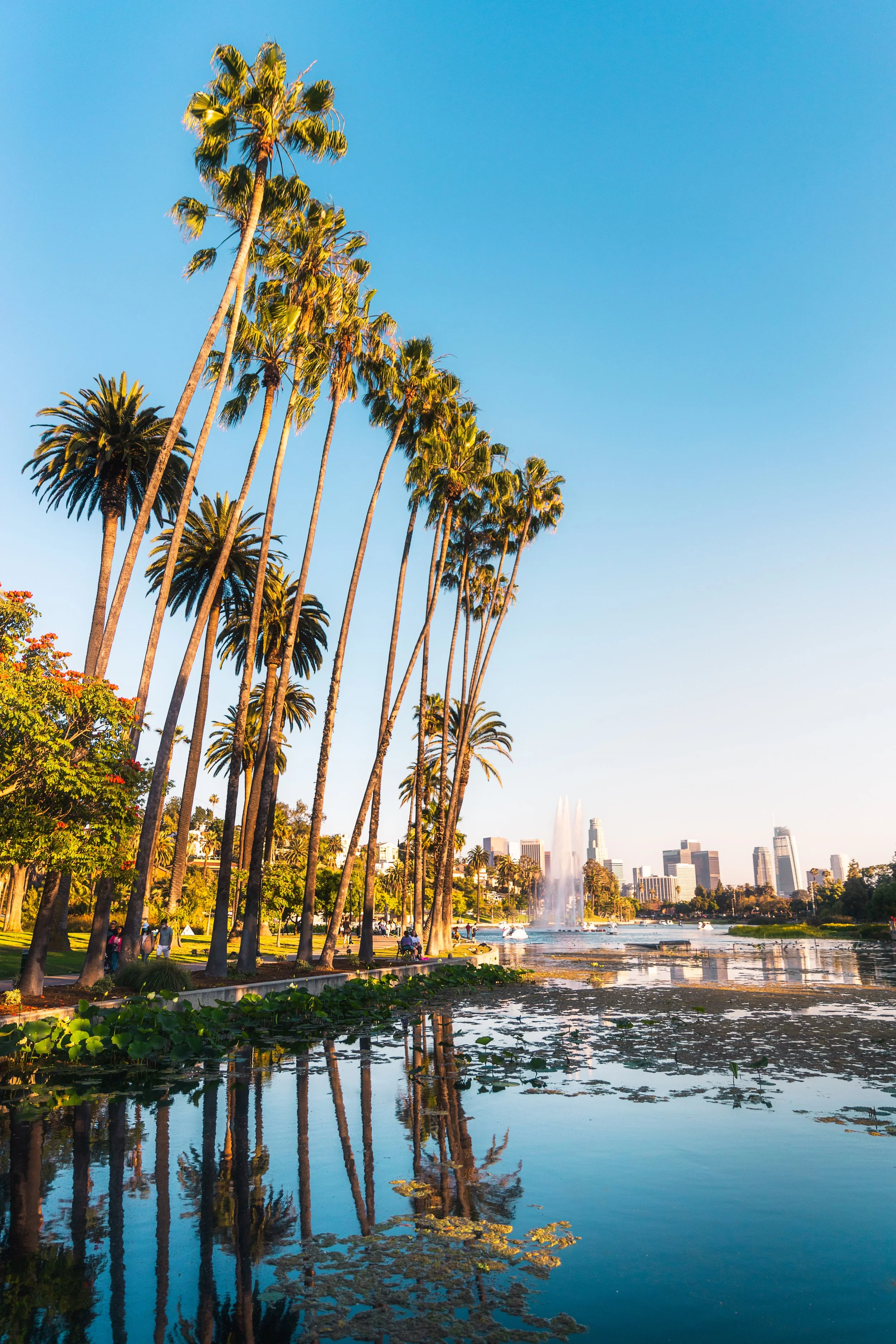 Echo Park Lake | Los Angeles, CA