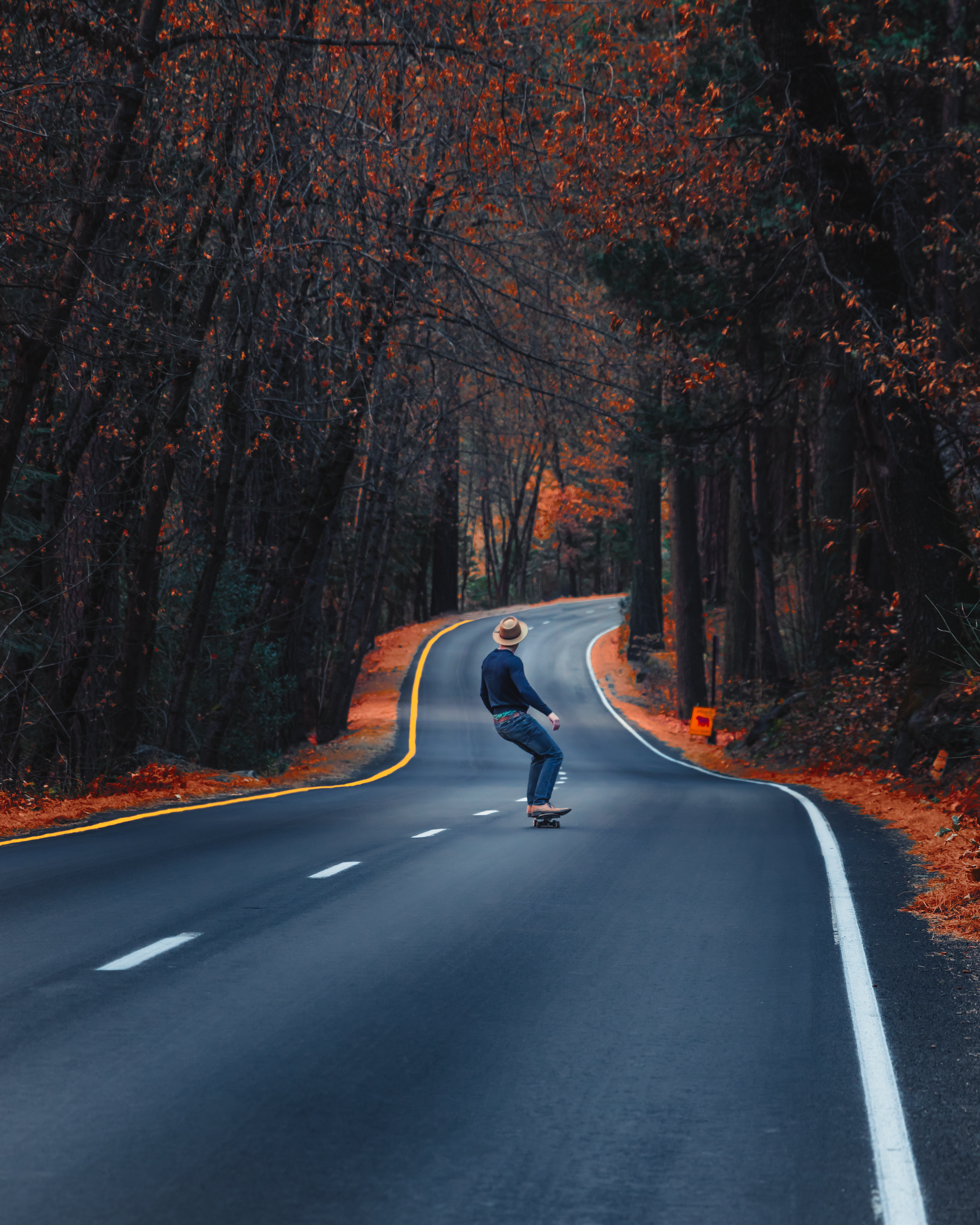 Skateboarder in Yosemite.png